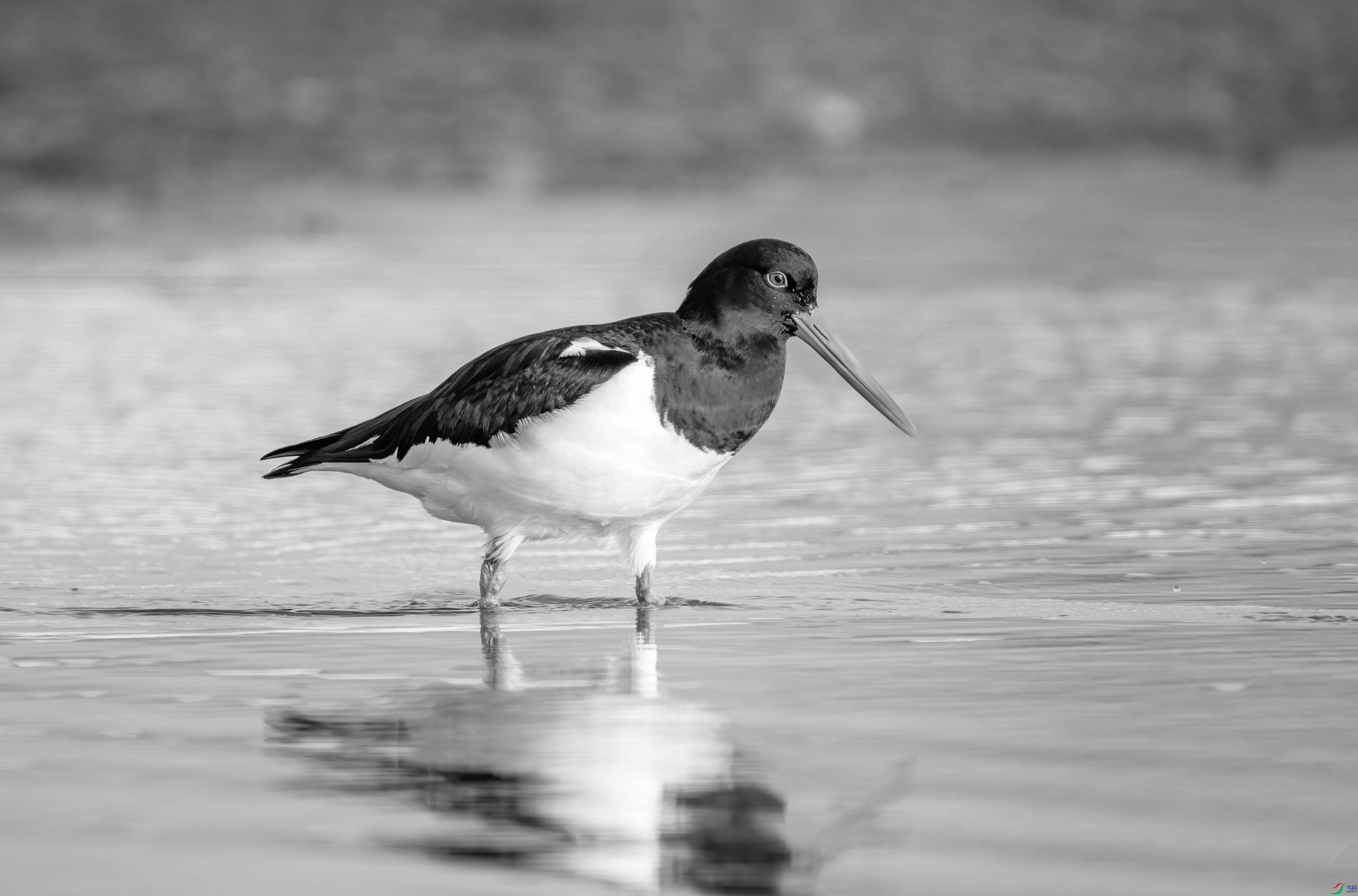 DSC01025 ����.jpg