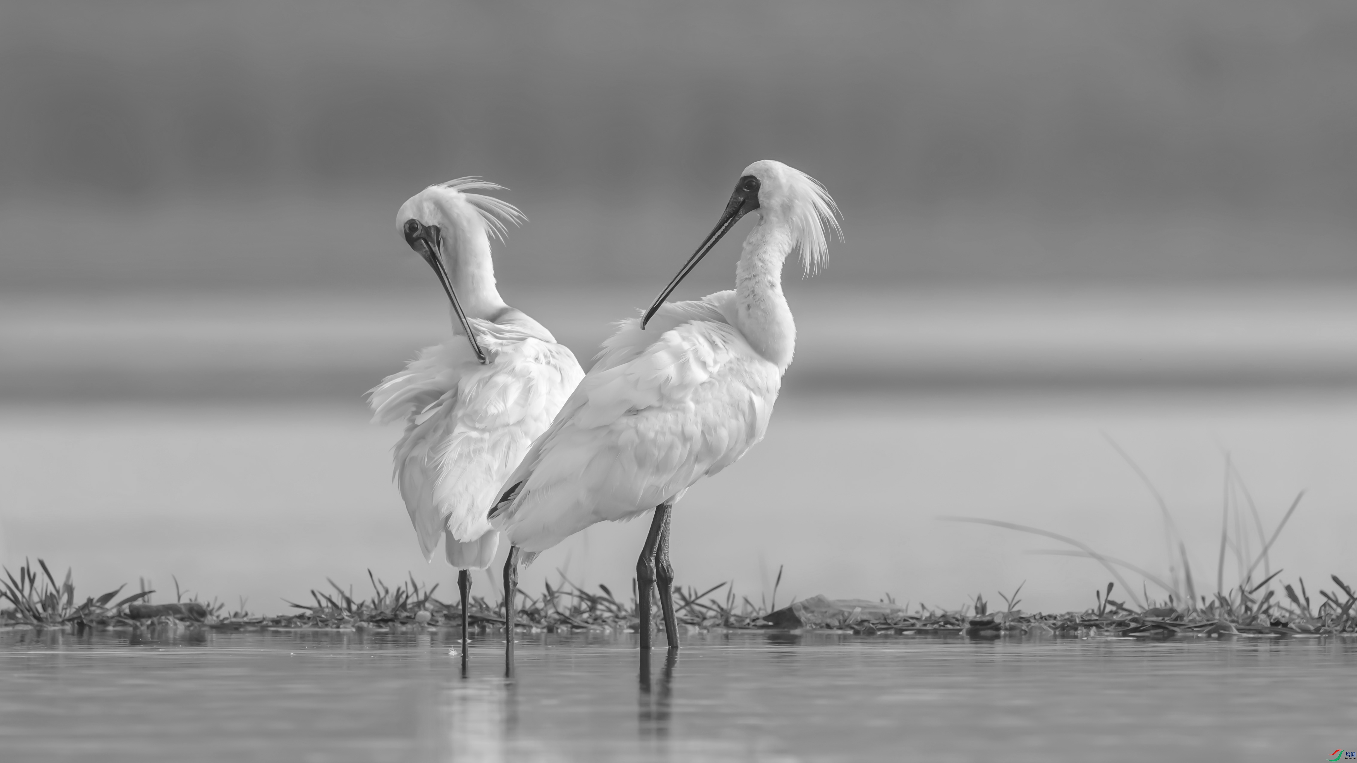 5322 ����.jpg