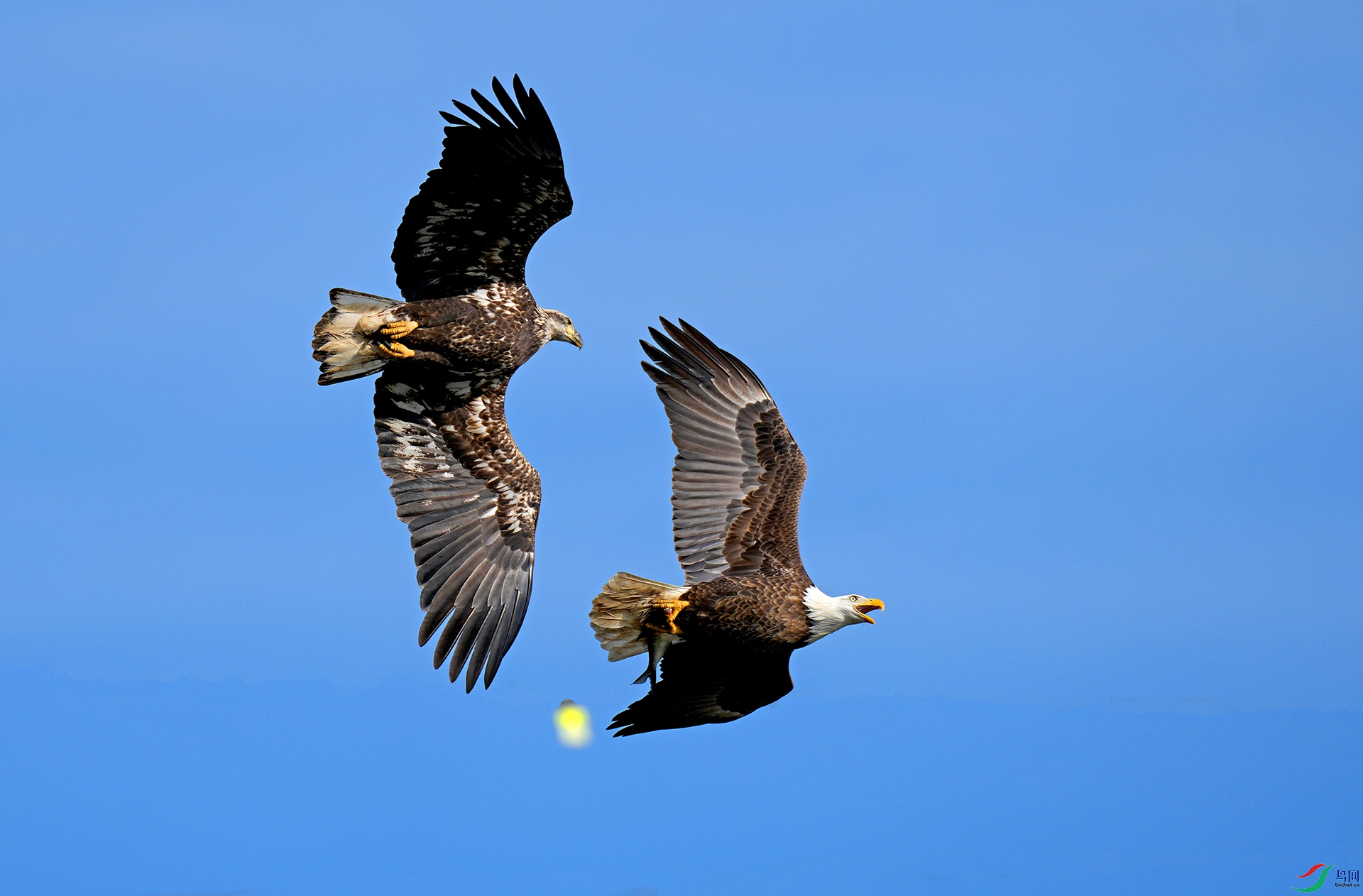 DSC06386--.jpg