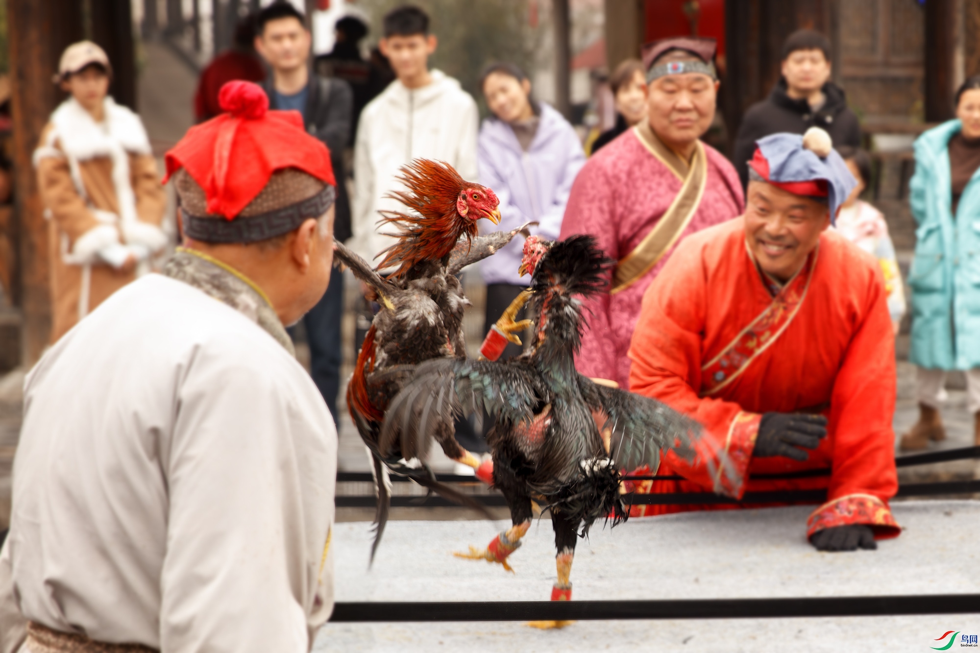 238A7789-����ǿ-NR ����.jpg