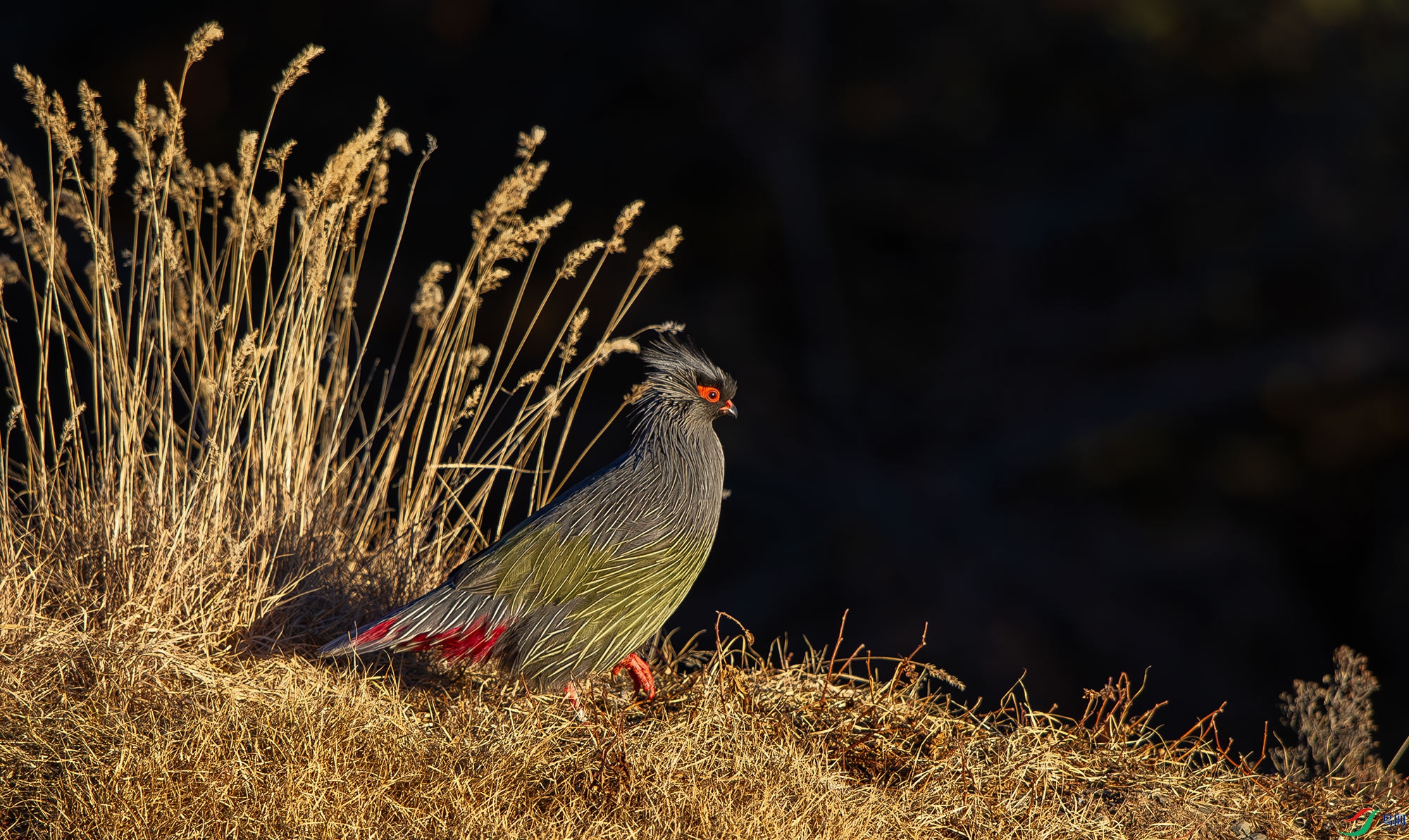 DSC_7631.jpg