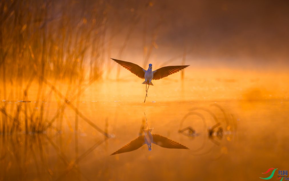 ������裨�ٻ�ÿ�ռ�����������Lxb 6.png