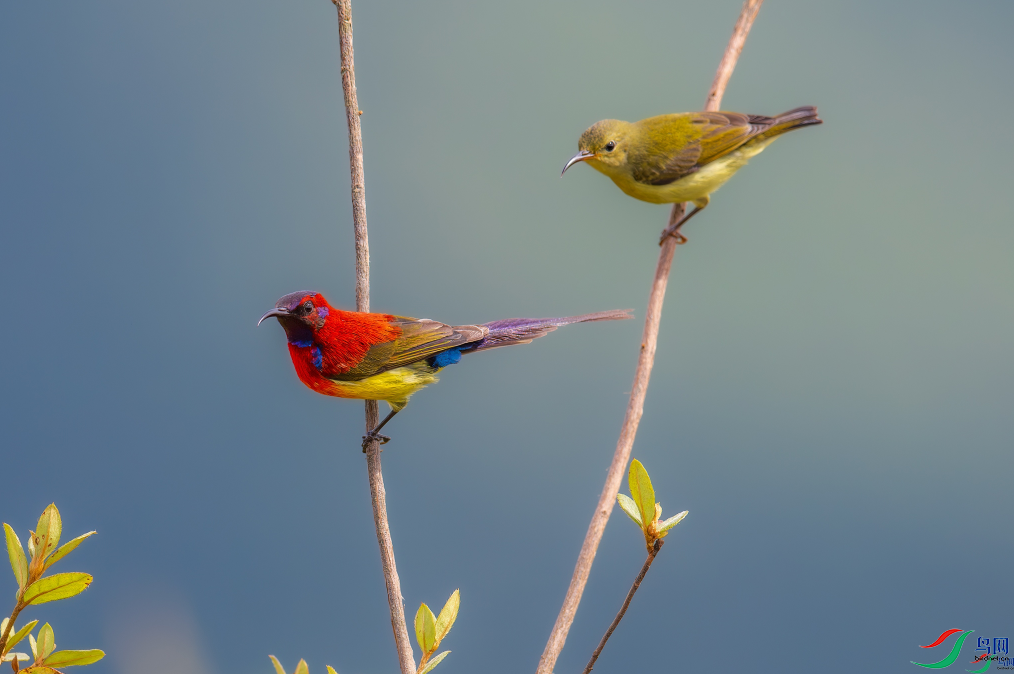 �������桷���ٻ����Ѿ�������ɽ���� 7.png