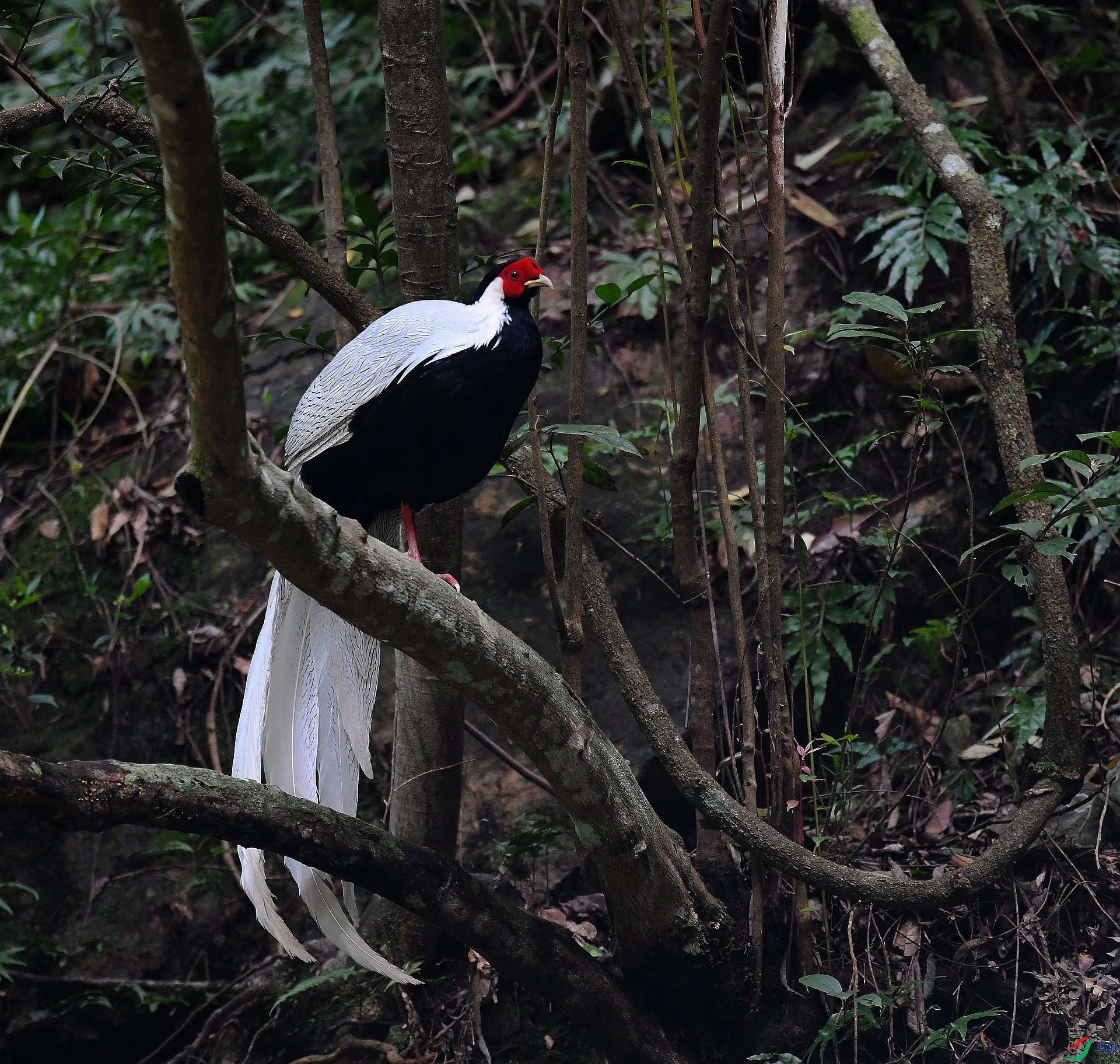 DSC_5307.jpg