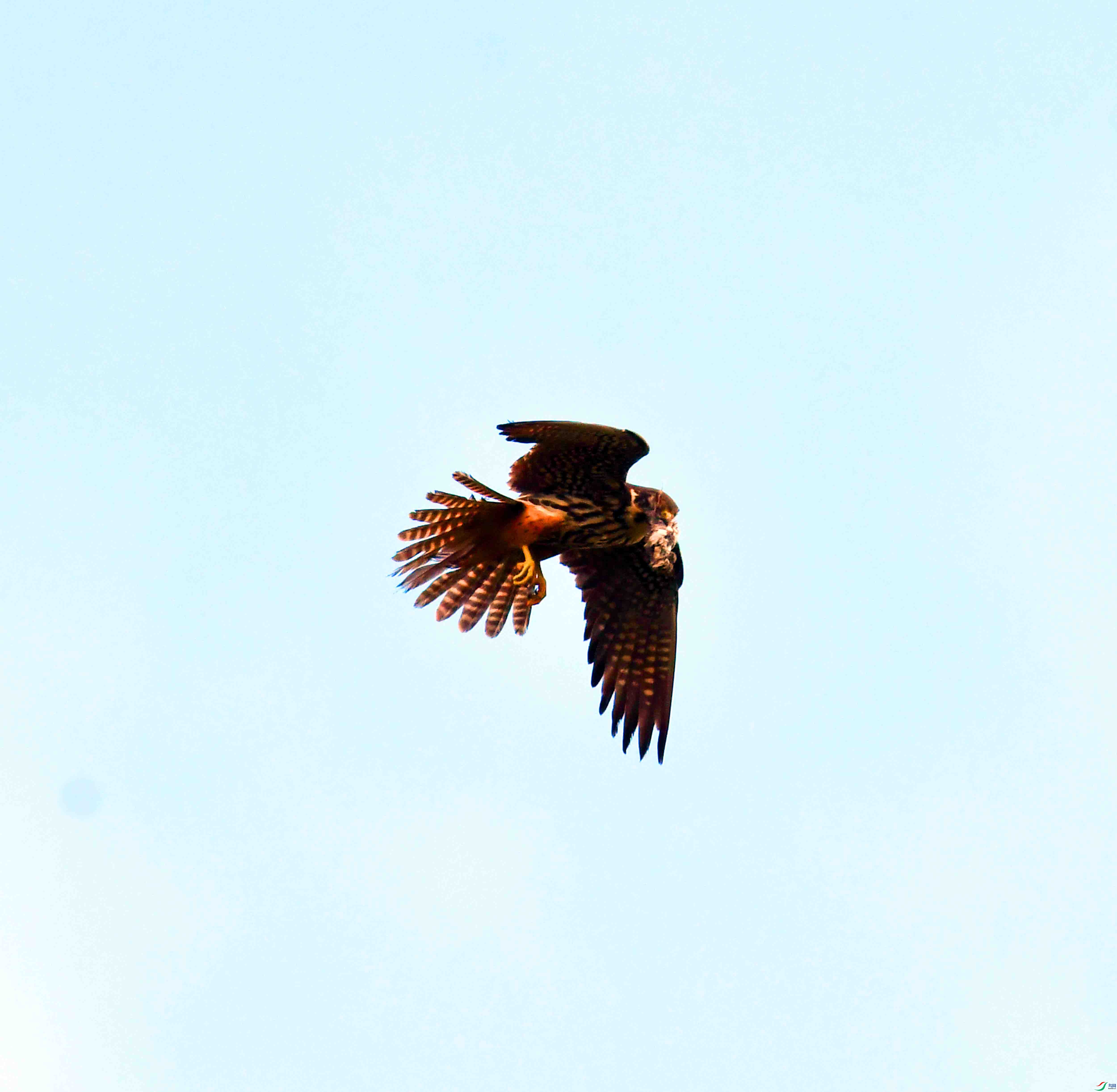 DSC_3984.JPG