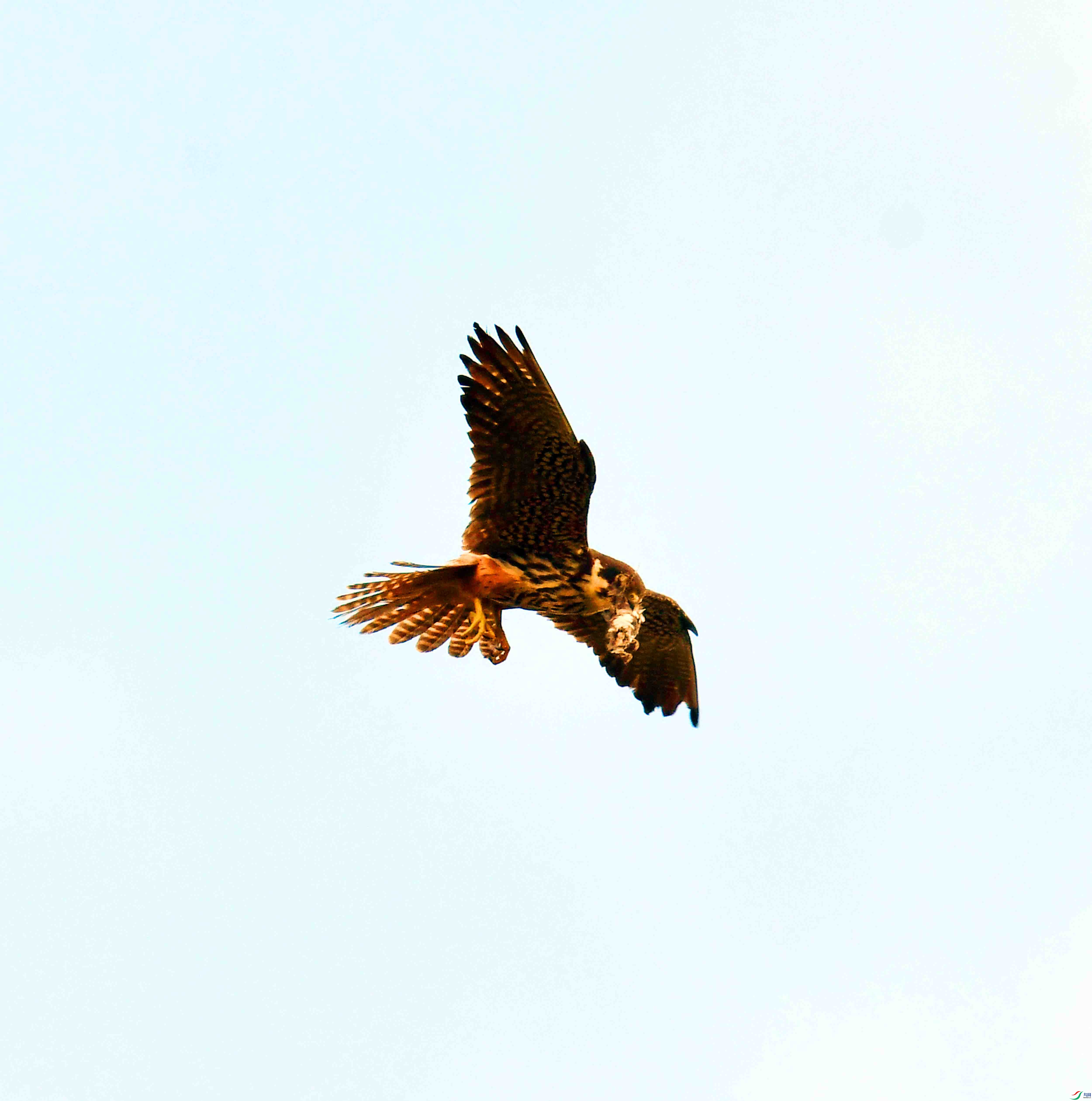 DSC_3986.JPG