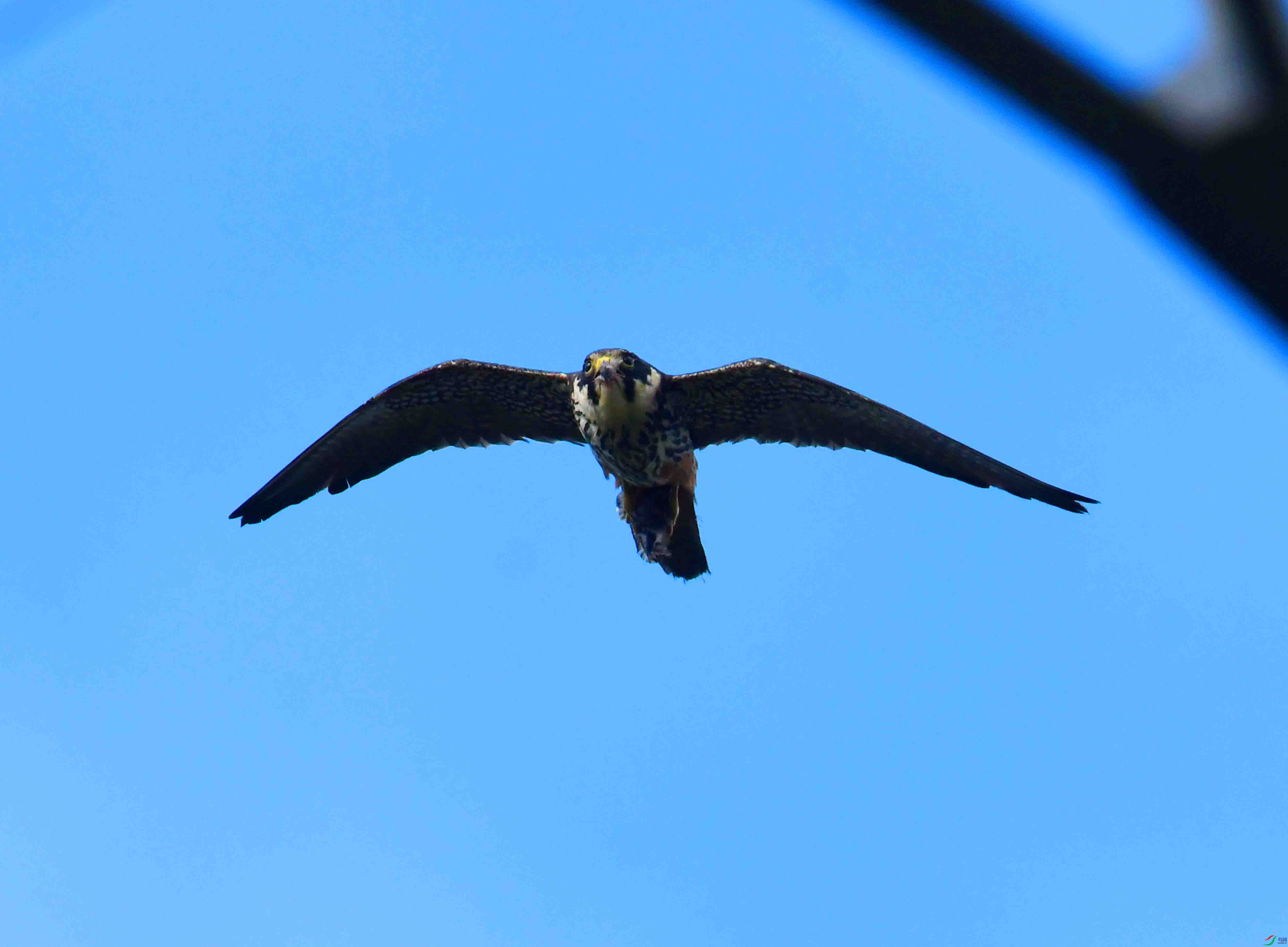 DSC_3994.JPG