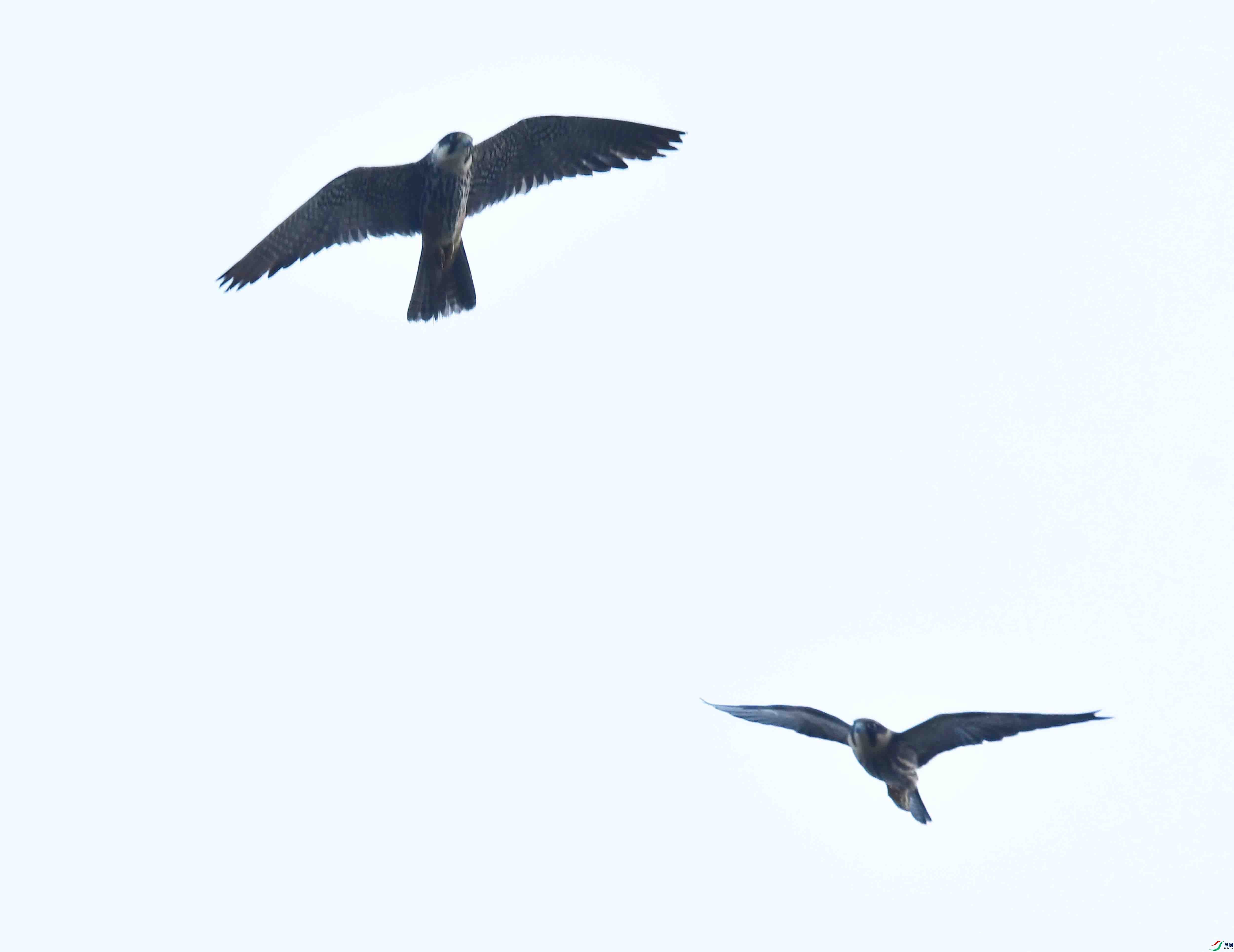 DSC_4186.JPG