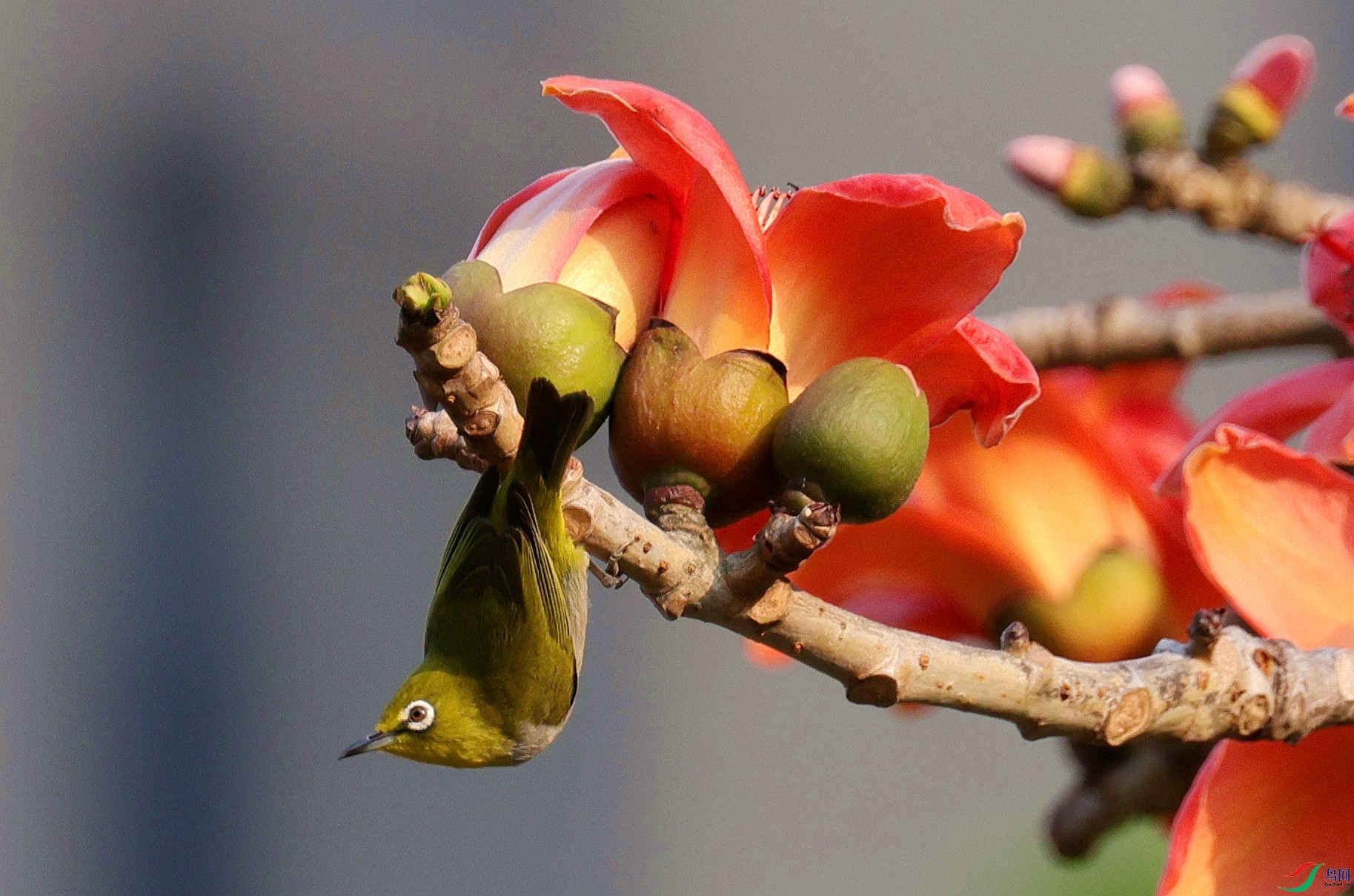 ���ҽ���