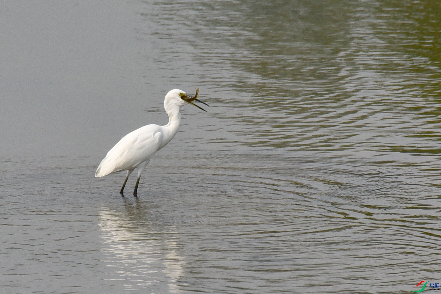 DSC_4033.JPG