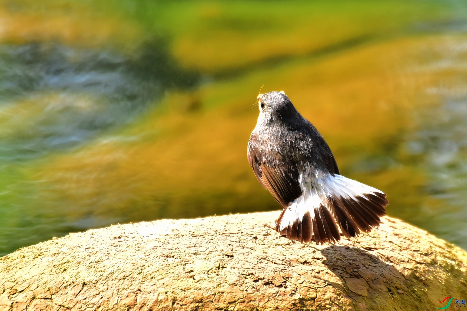 DSC_7514.JPG