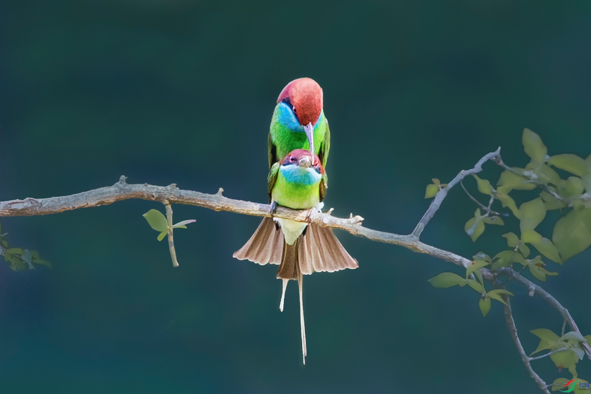 �����仢----����ʱ��