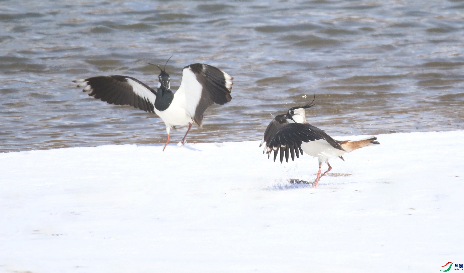 0G1A4508 ����.jpg