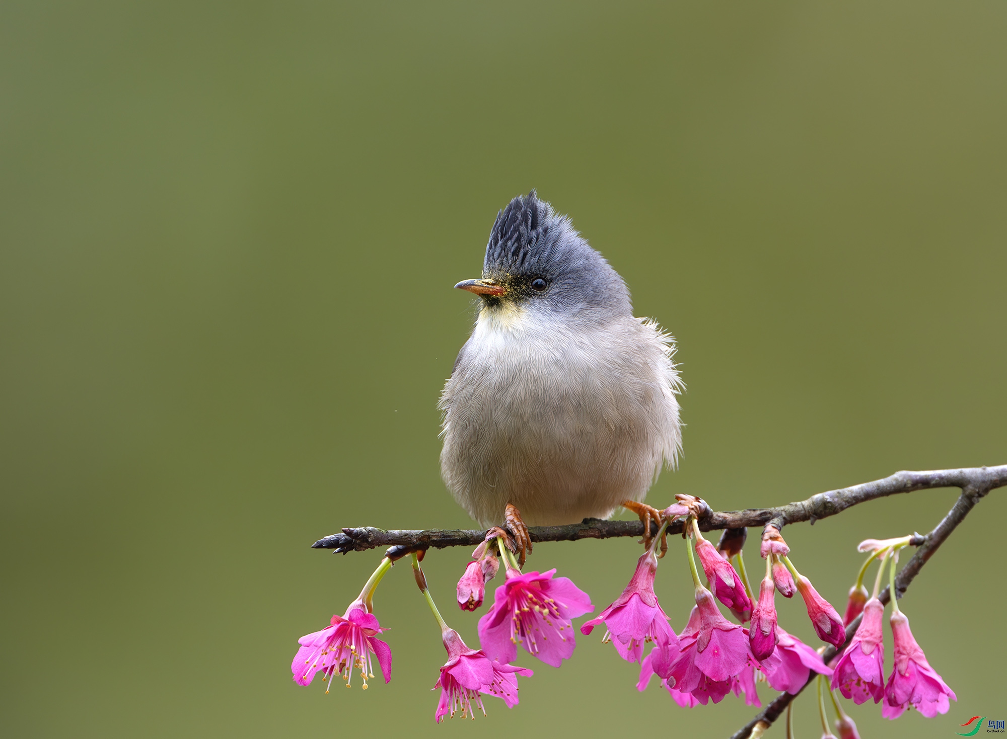 DSC_7046-����ǿ-NR ����.jpg