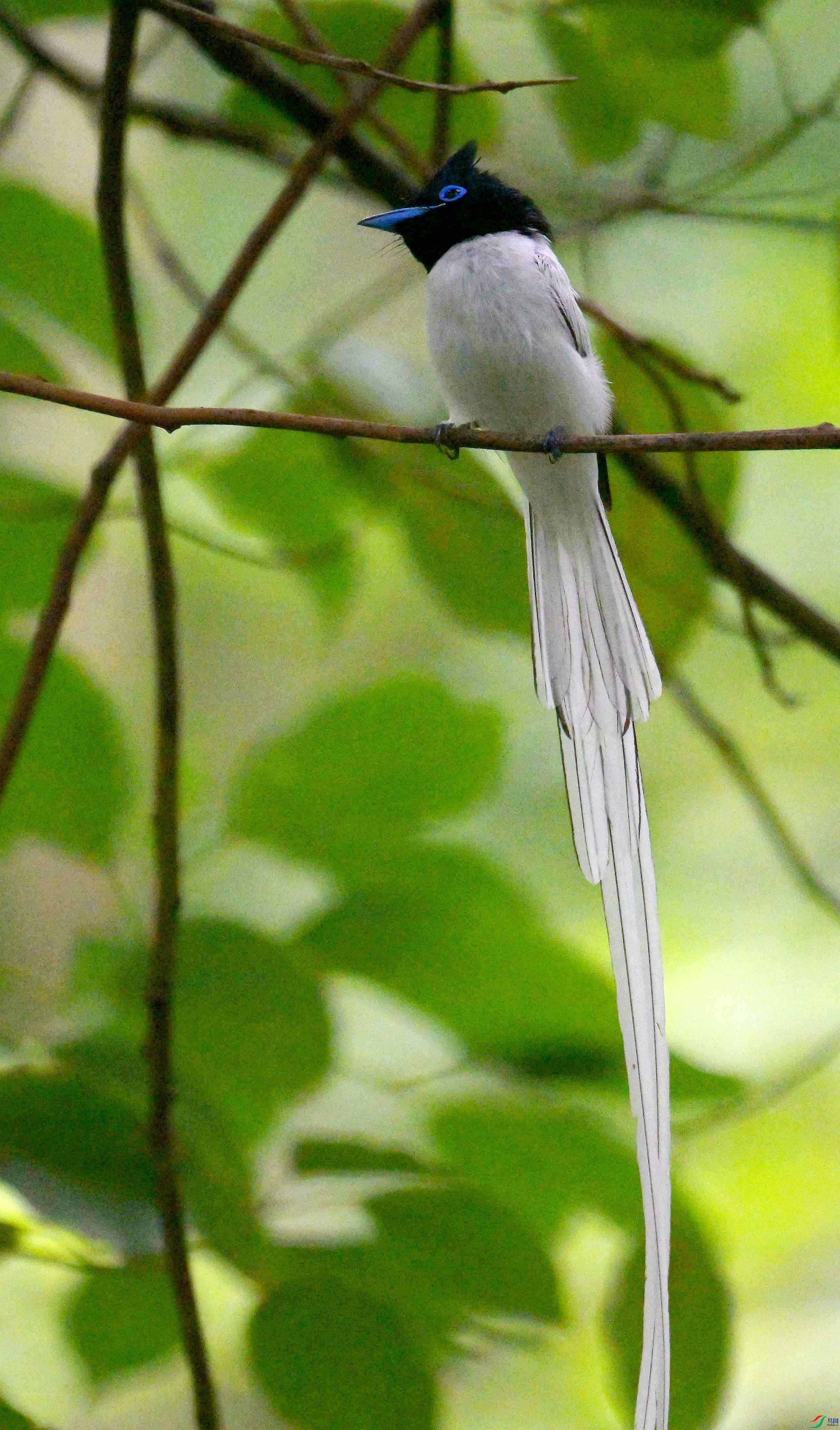 DSC_9528.jpg