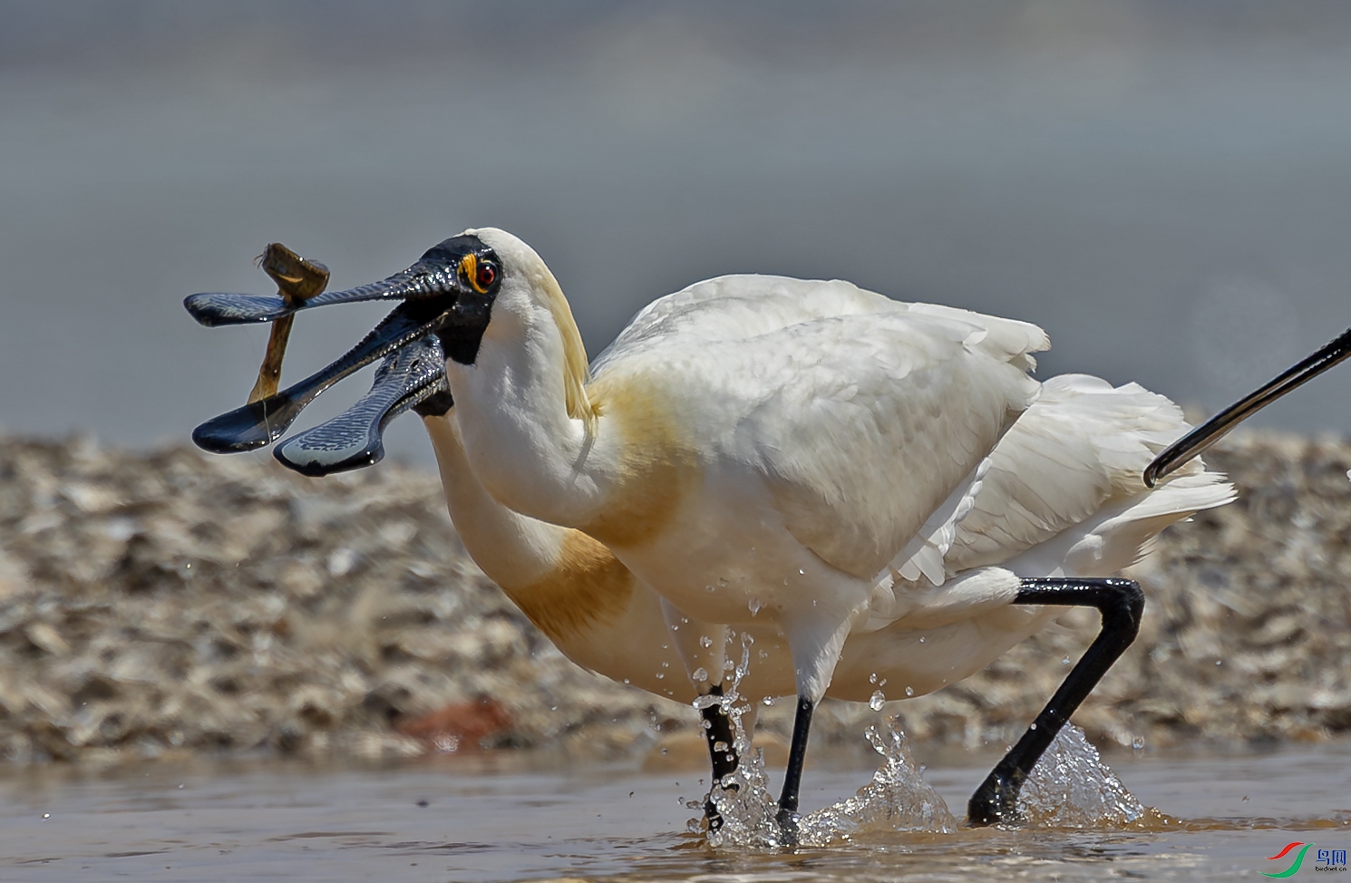 ���Ϲ���