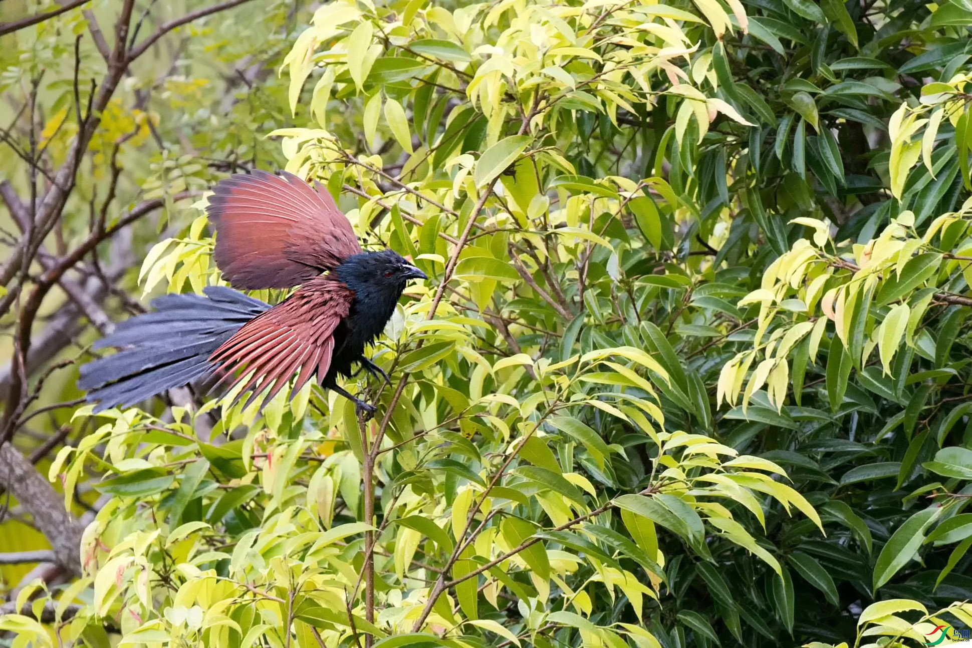 �ֳ�ѻ��չ��