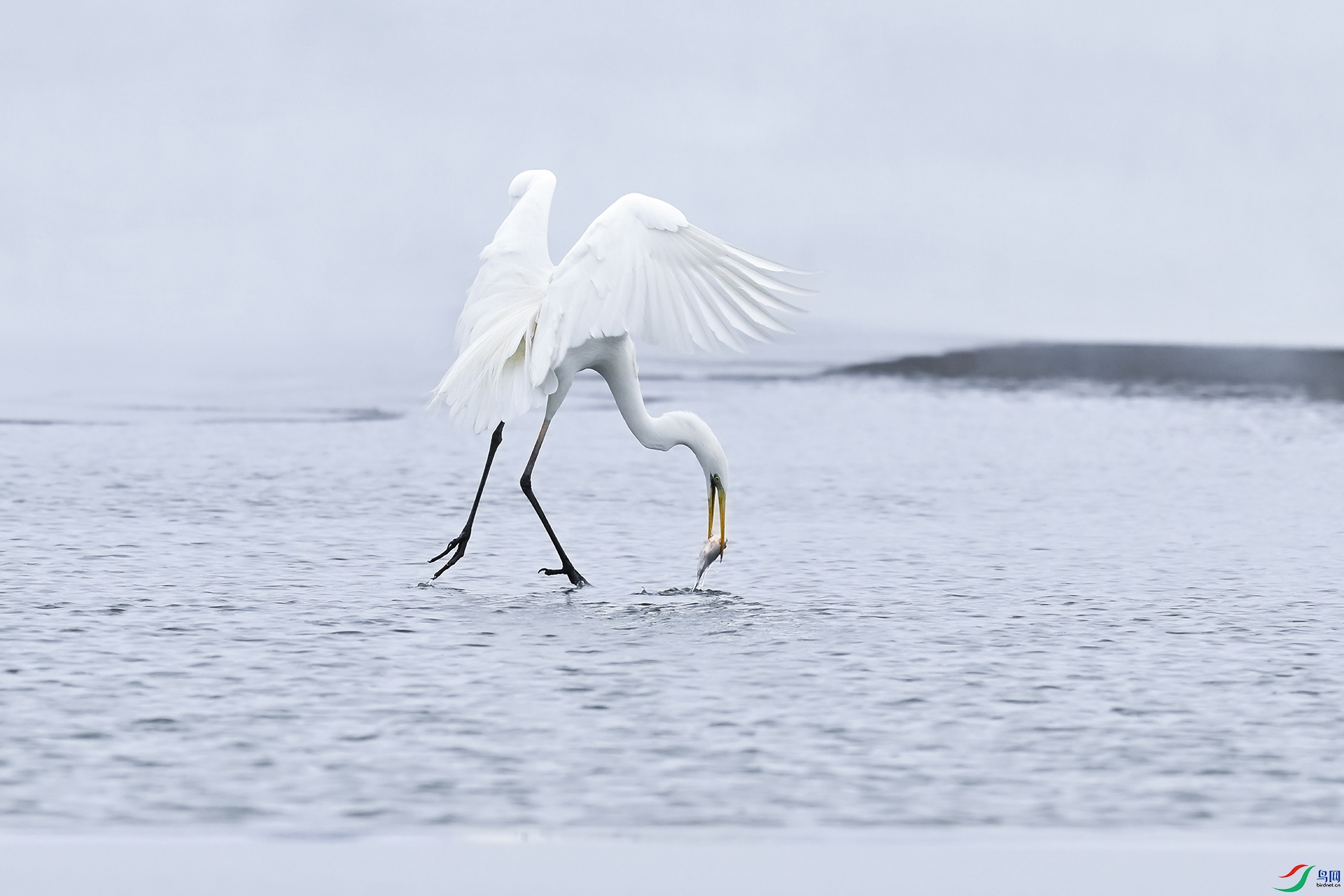 ̤����ʳ ����.jpg