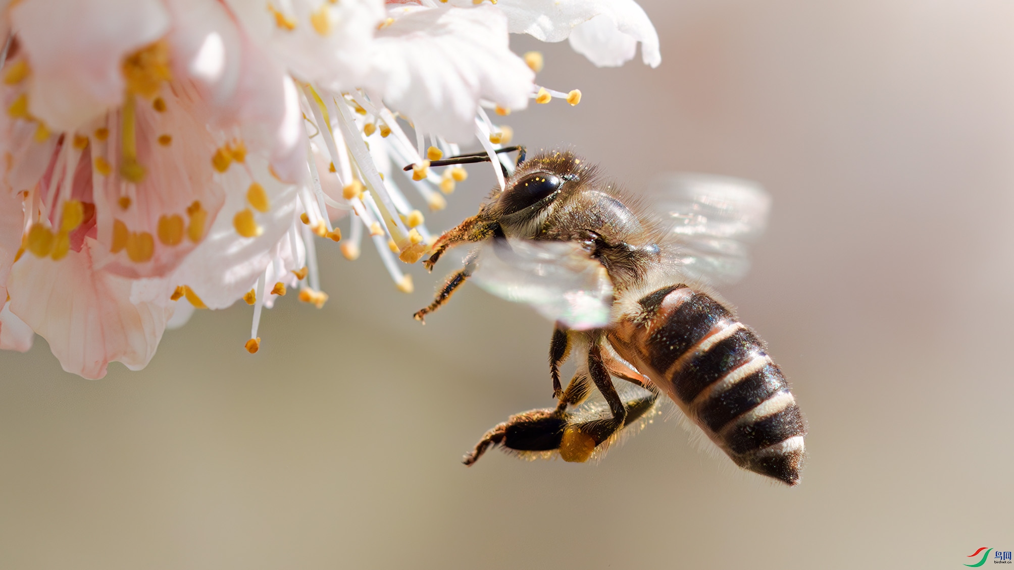 DSC05297-̤ӣ���� ����.jpg