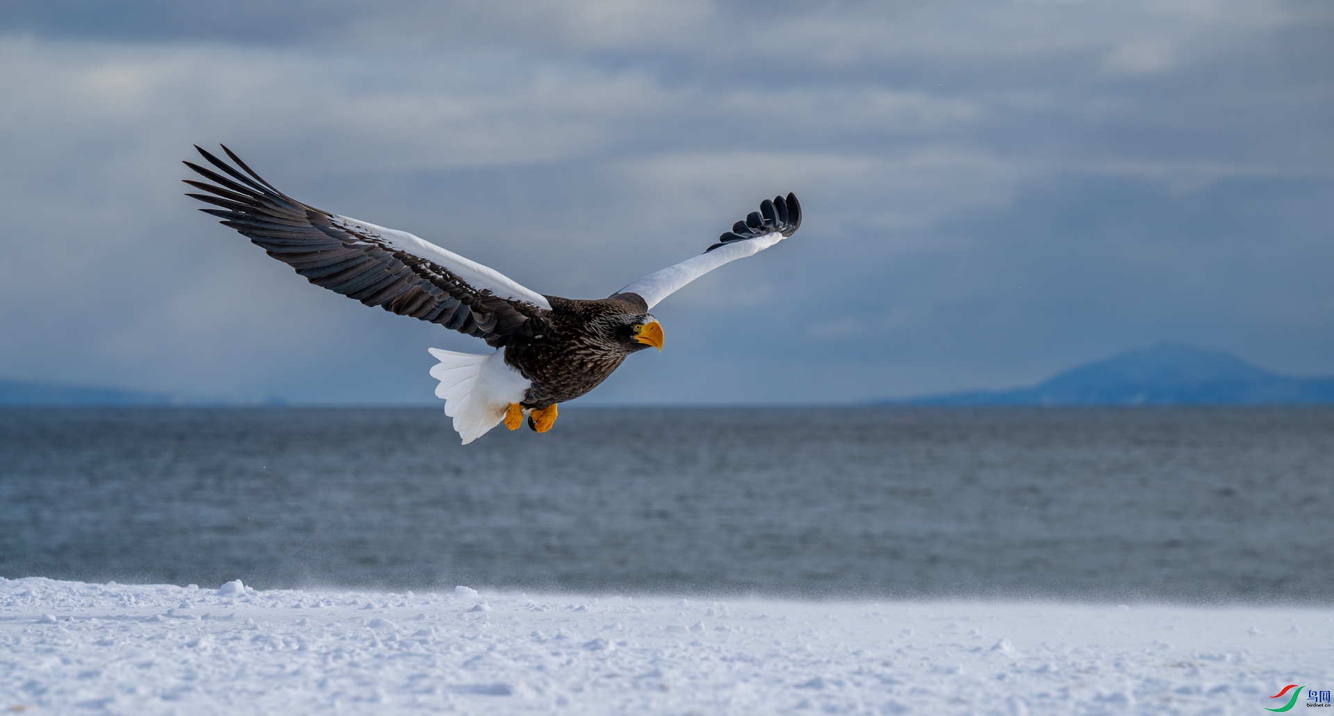 _DSC2639-����ǿ-NR-1w.jpg
