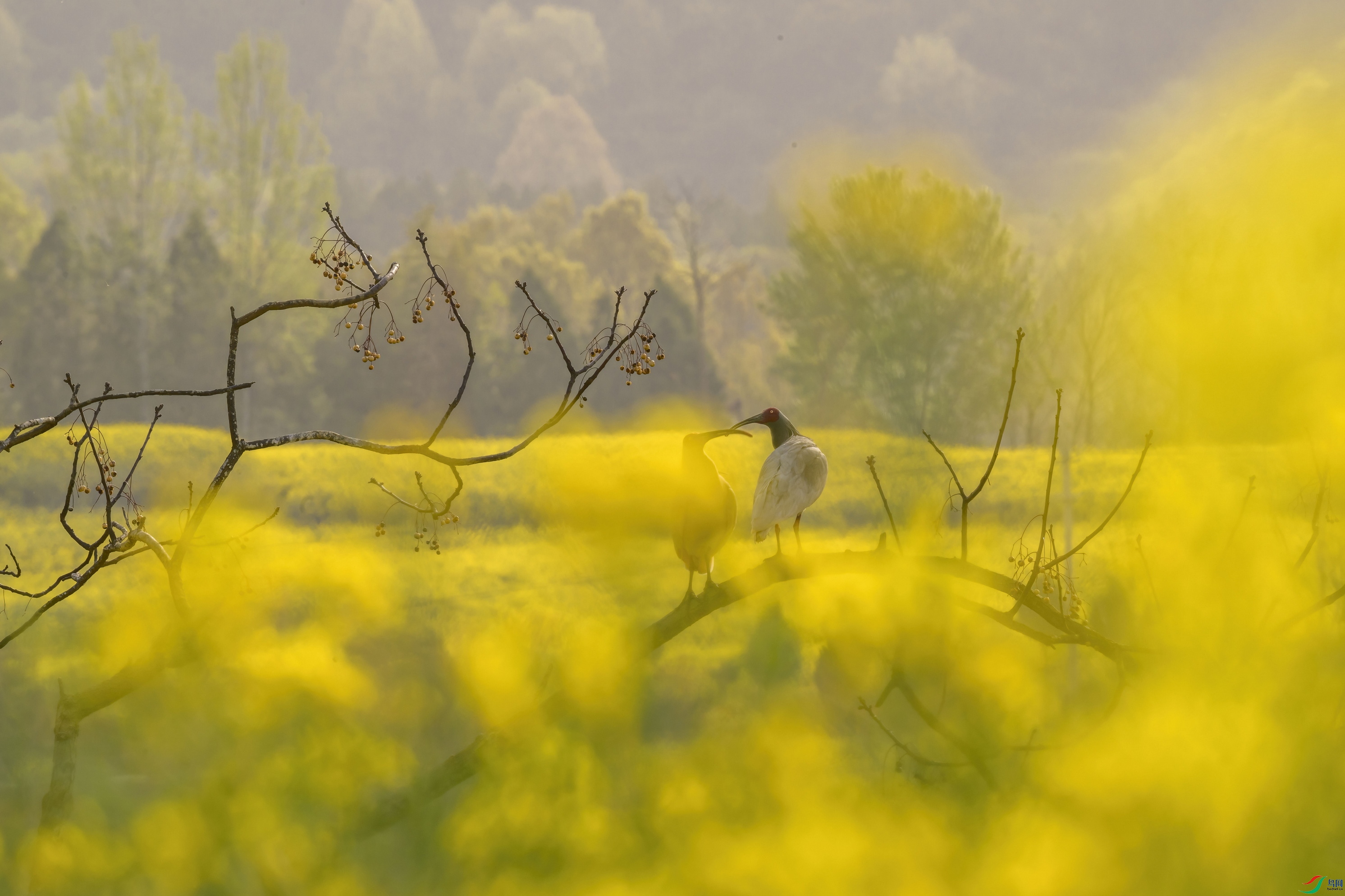 _DSC1255 ����F001.jpg