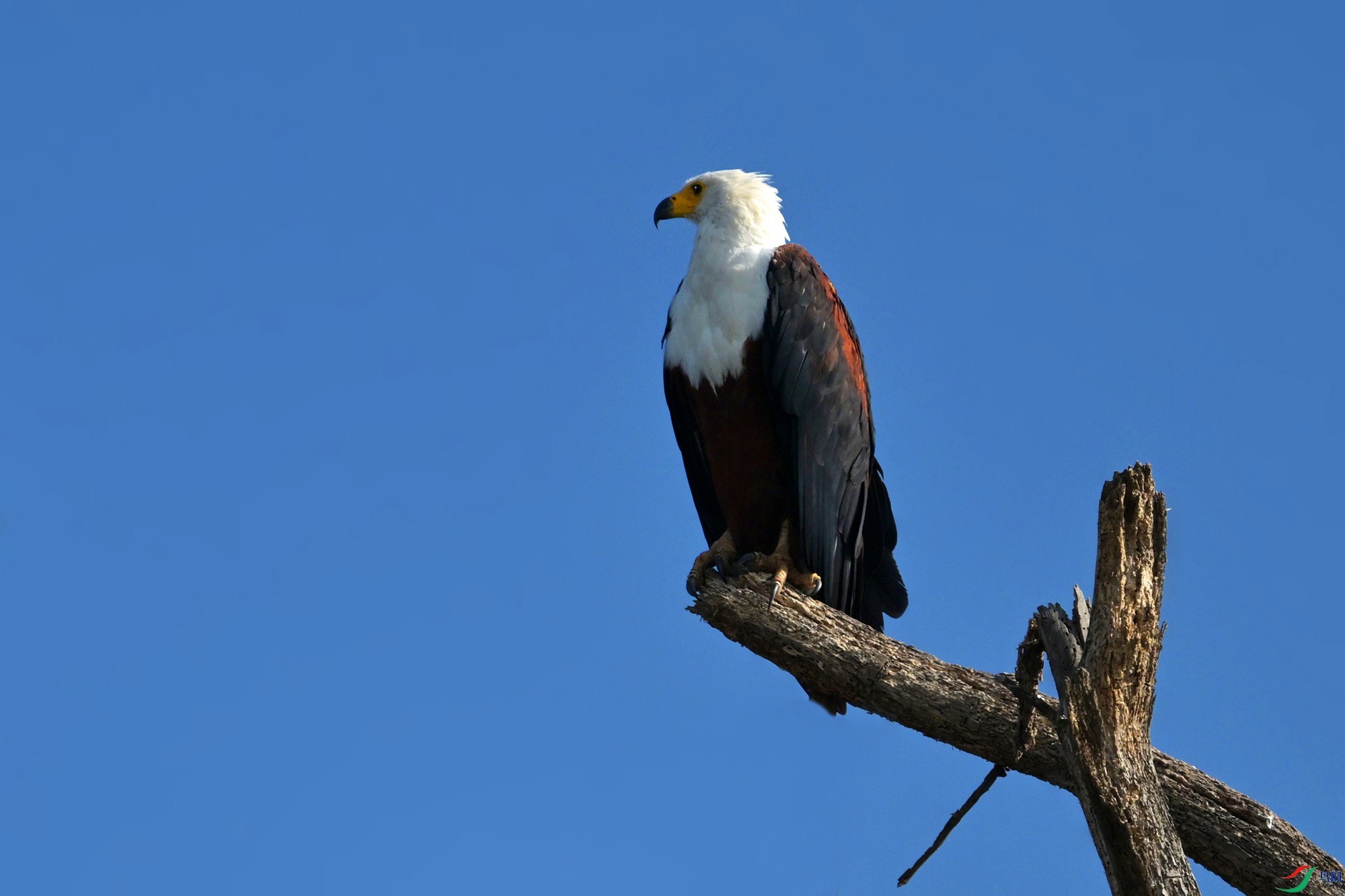 DSC_8683_.jpg