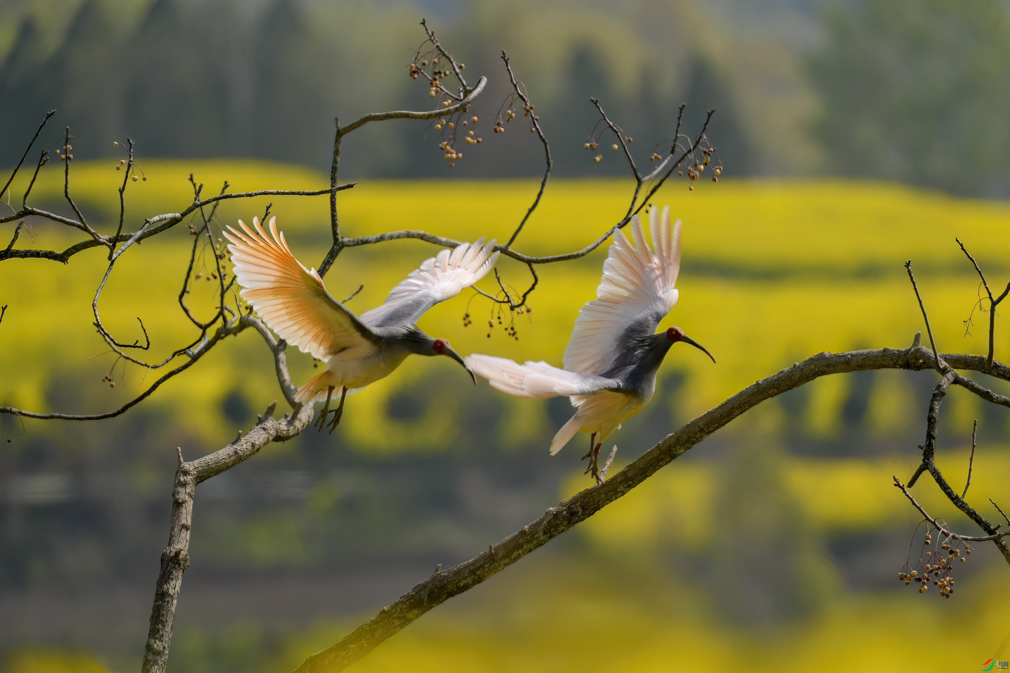 _DSC8378 ����.jpg