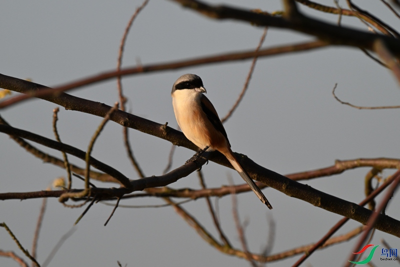 DSC_1055.JPG