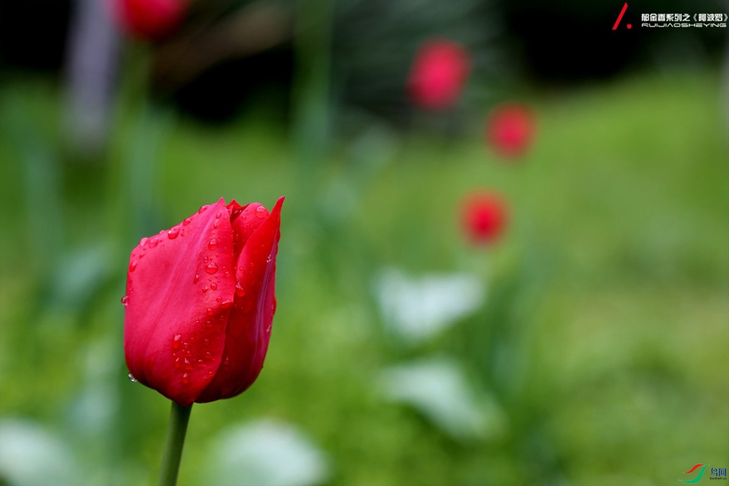IMG_2576.jpg