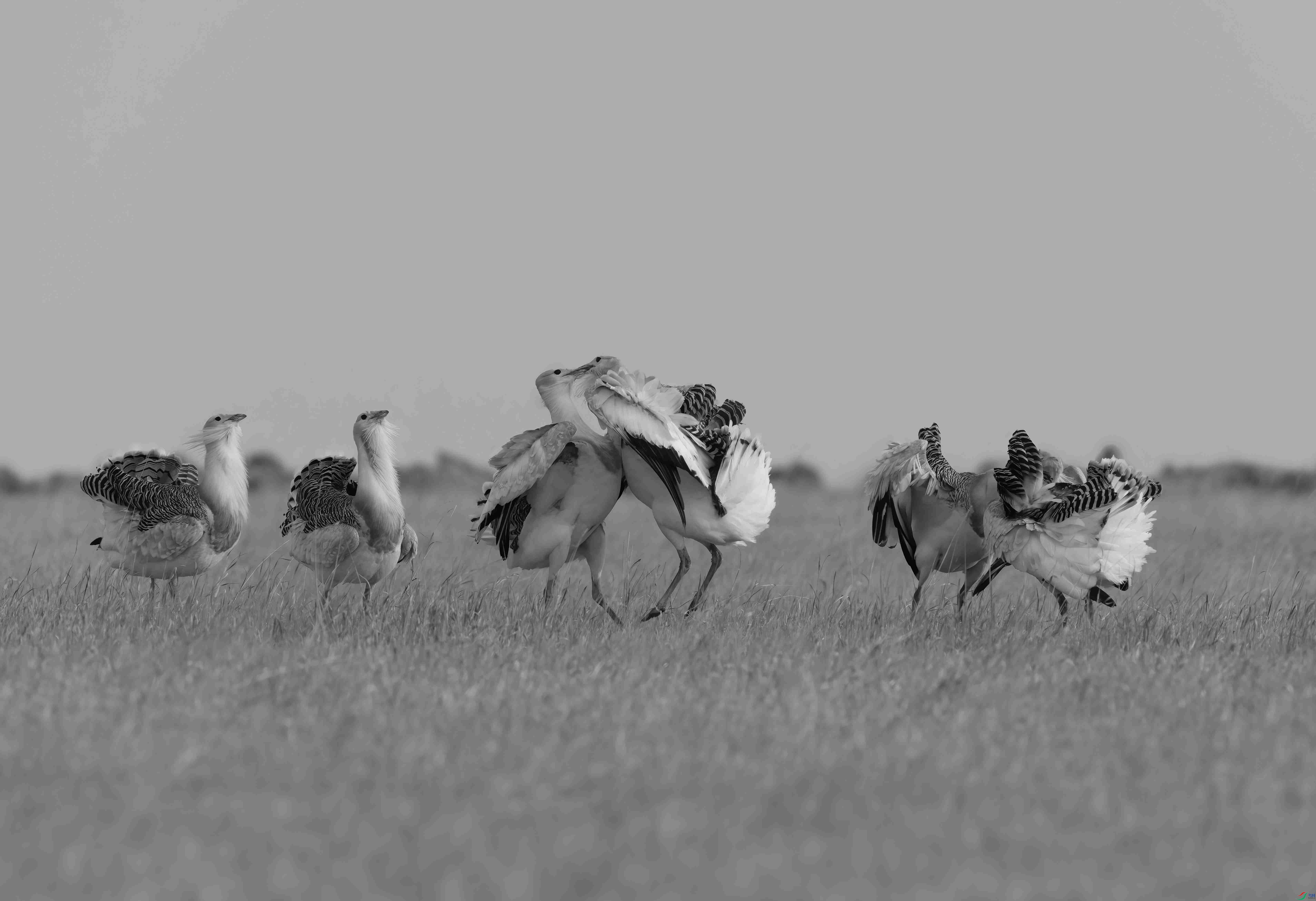 DSC03437 ����_����1.jpg