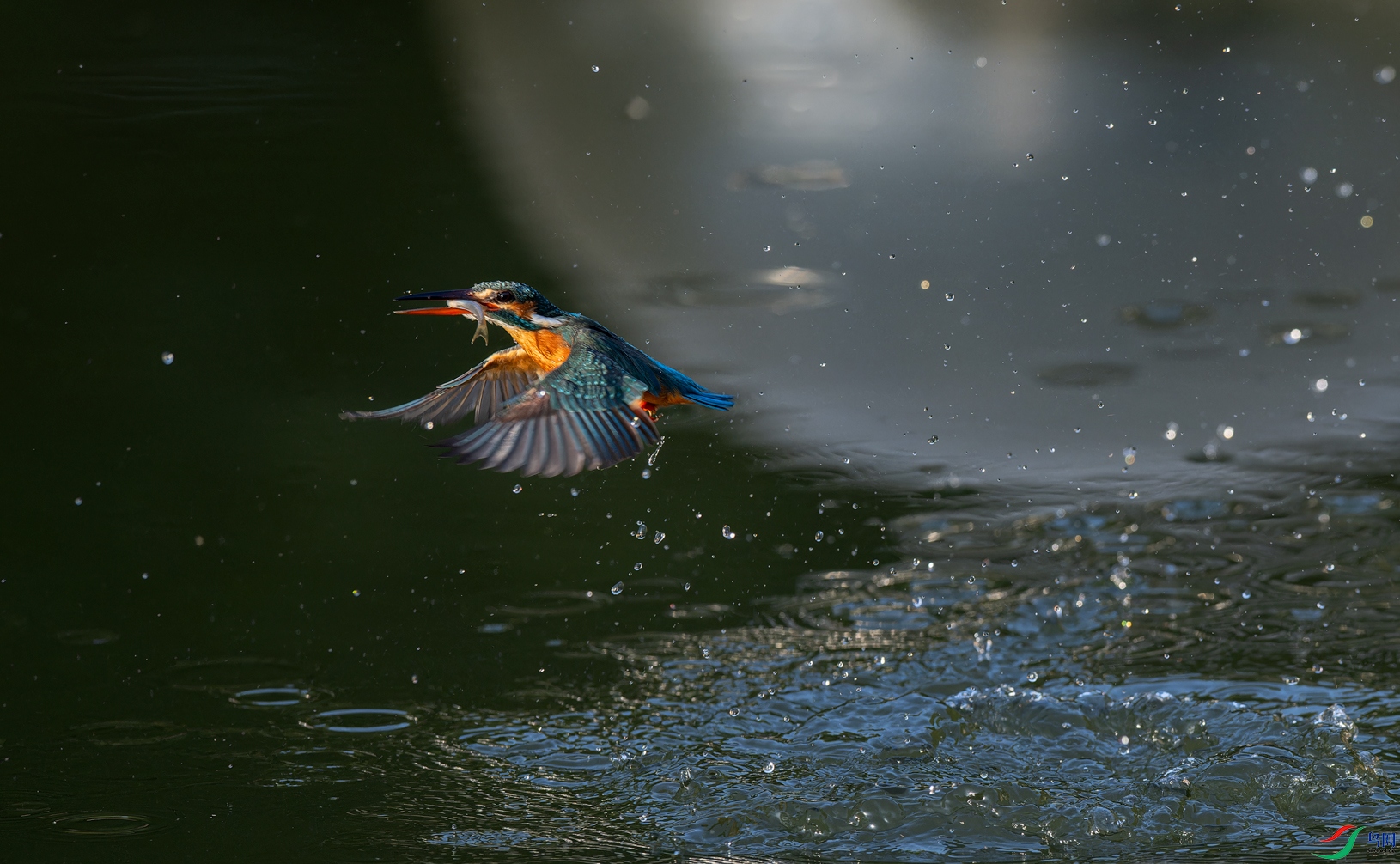 _DSC3071-NEF_DxO_DeepPRIMEXD-1.jpg