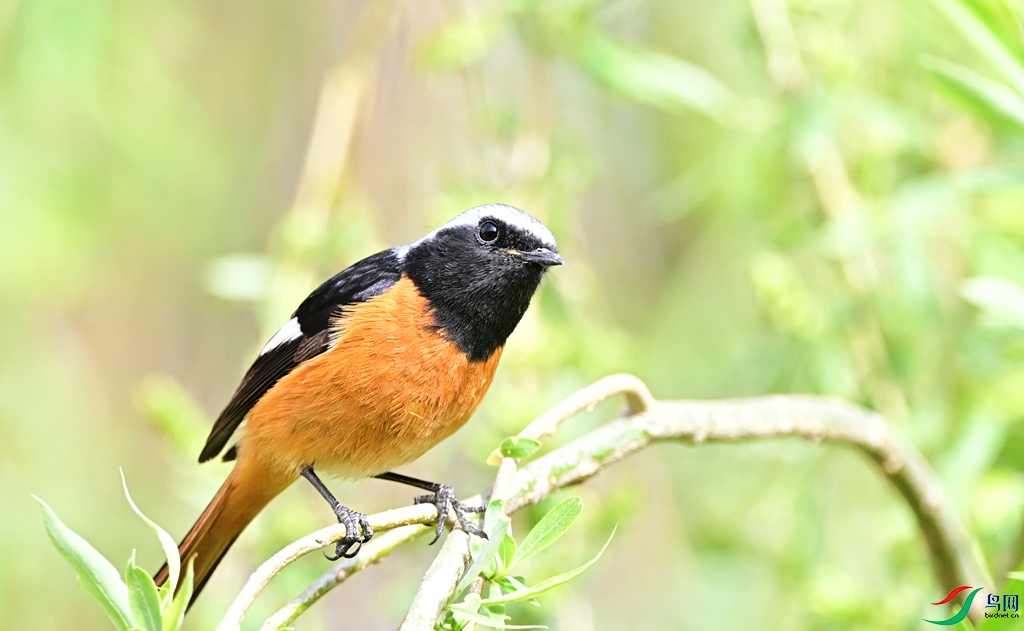 DSC_9713.JPG