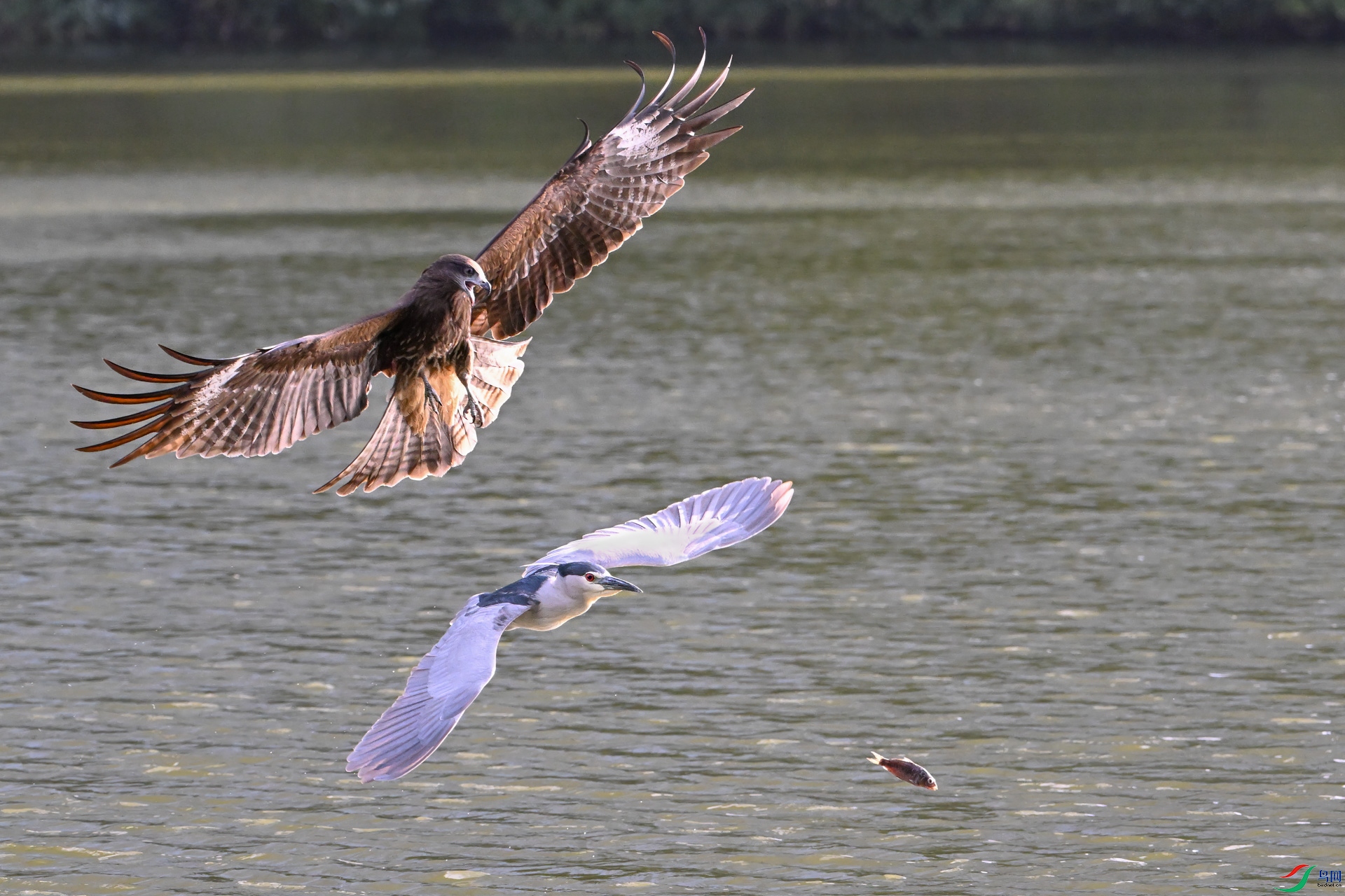 DSC_6543sen2025-2-8-11-�༭.jpg