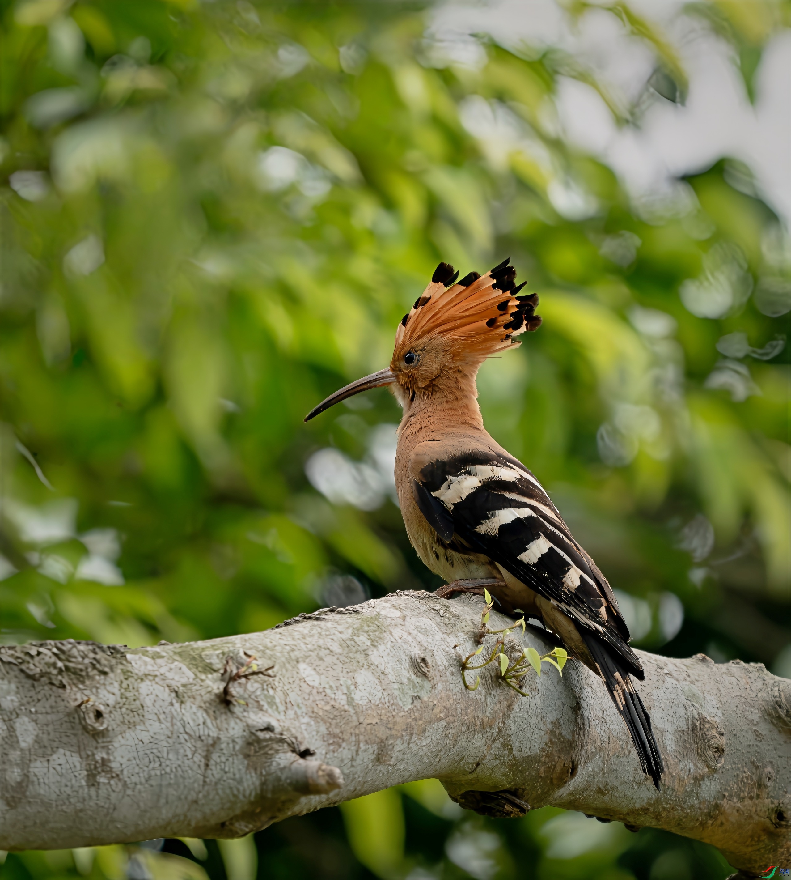 _DSC73660-topaz-denoise-sharpen-lighting.jpg