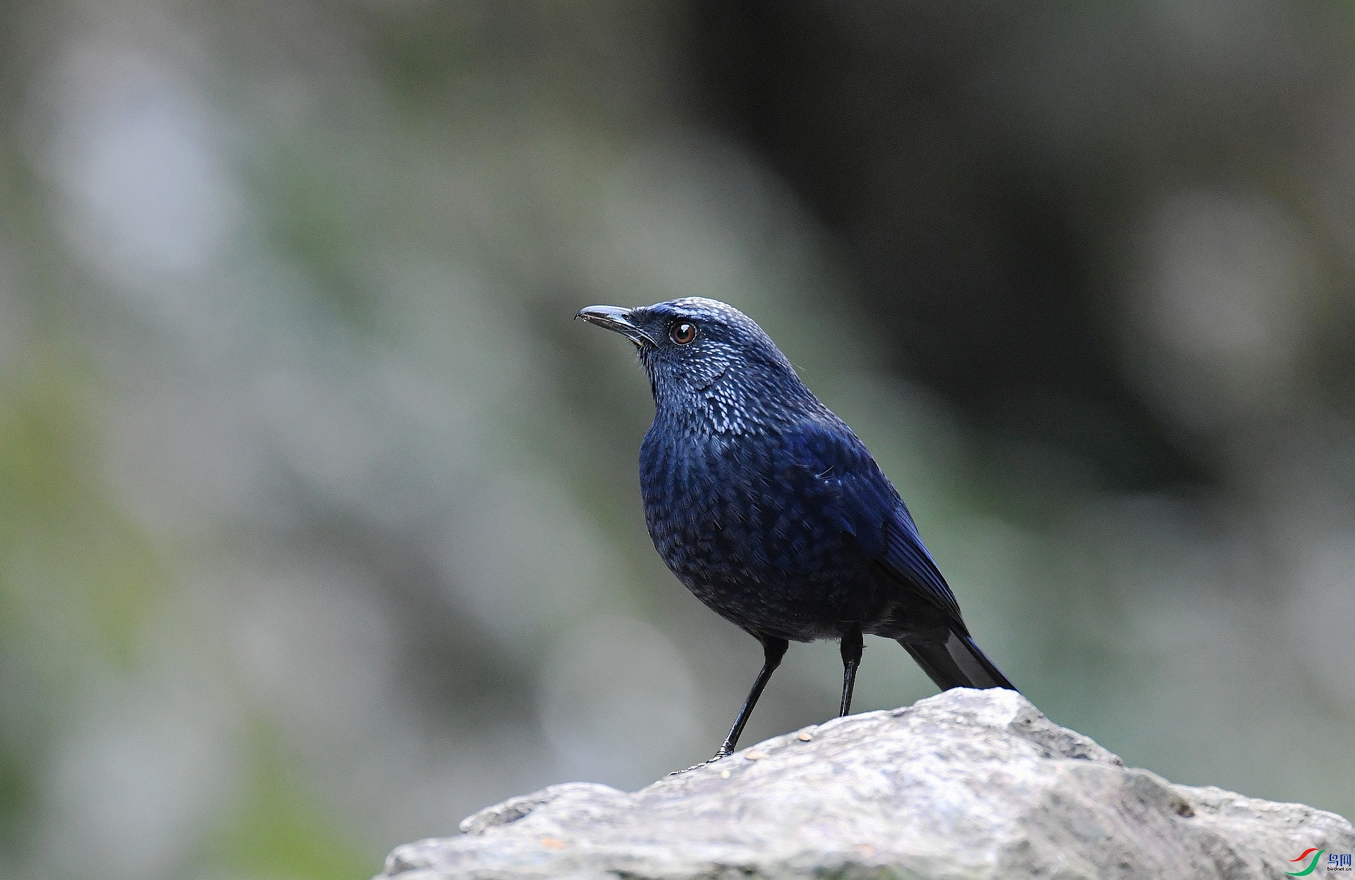 DSC_5197.jpg