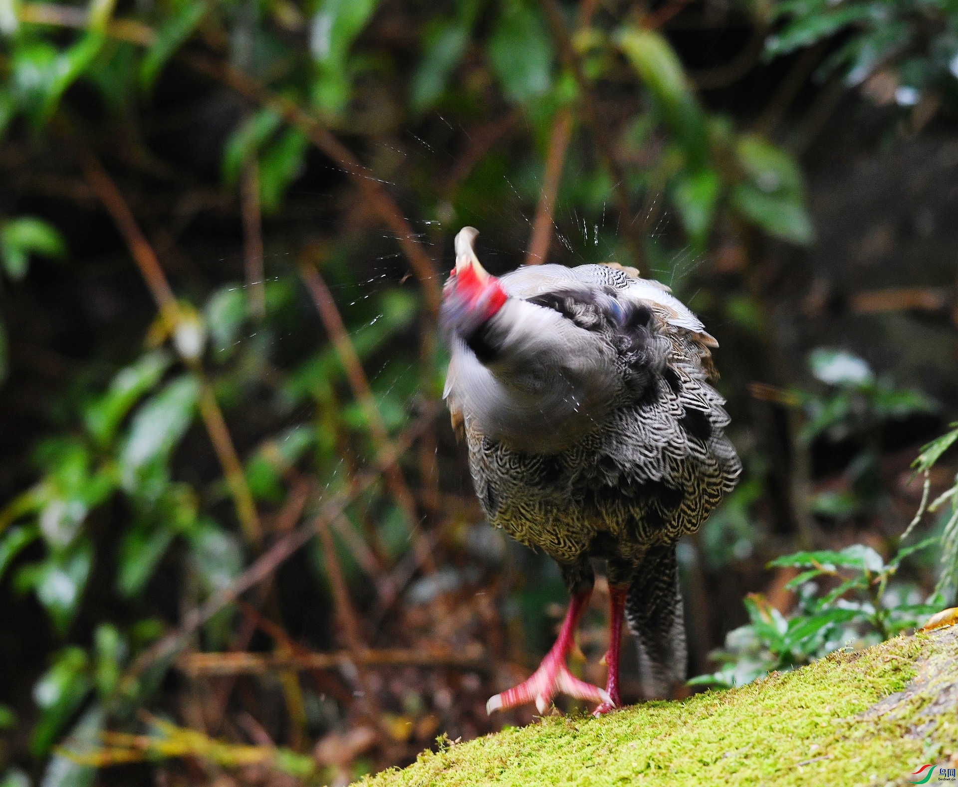 DSC_3037.jpg