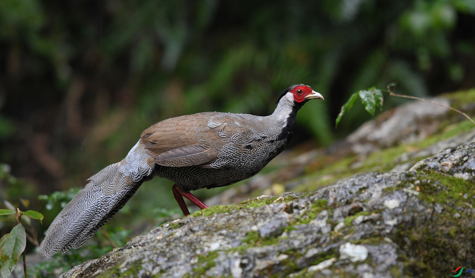 DSC_3023.jpg