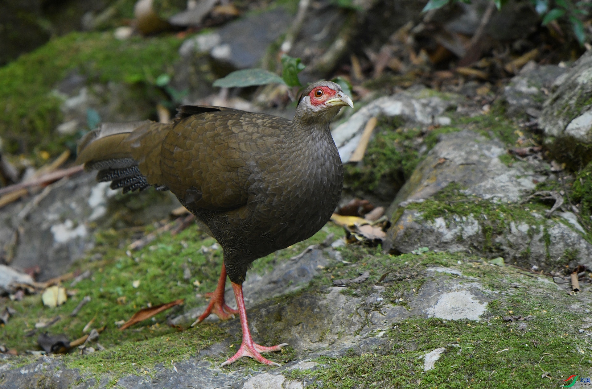 DSC_7658.jpg
