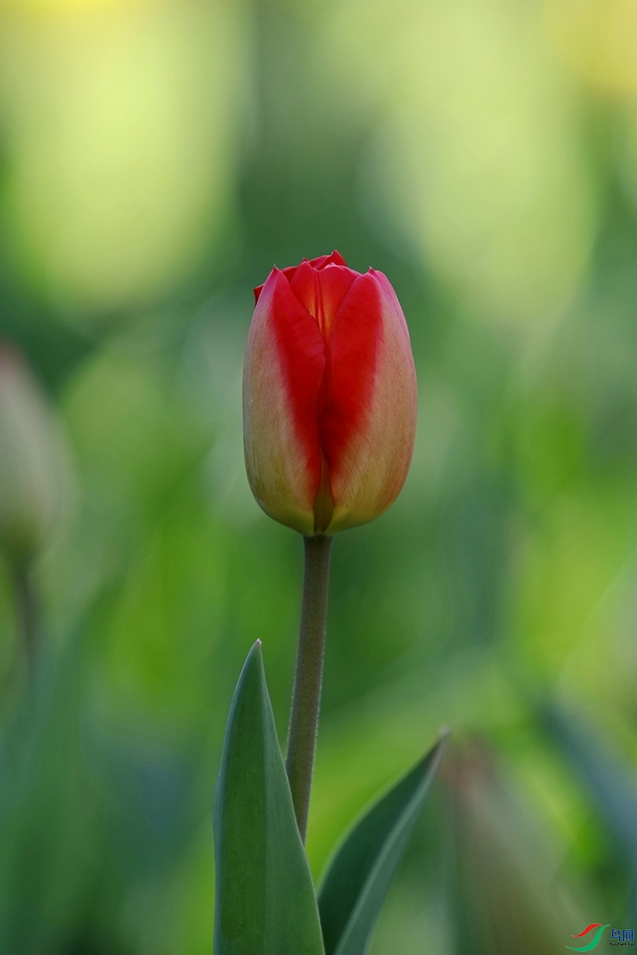 3X7A6209.JPG