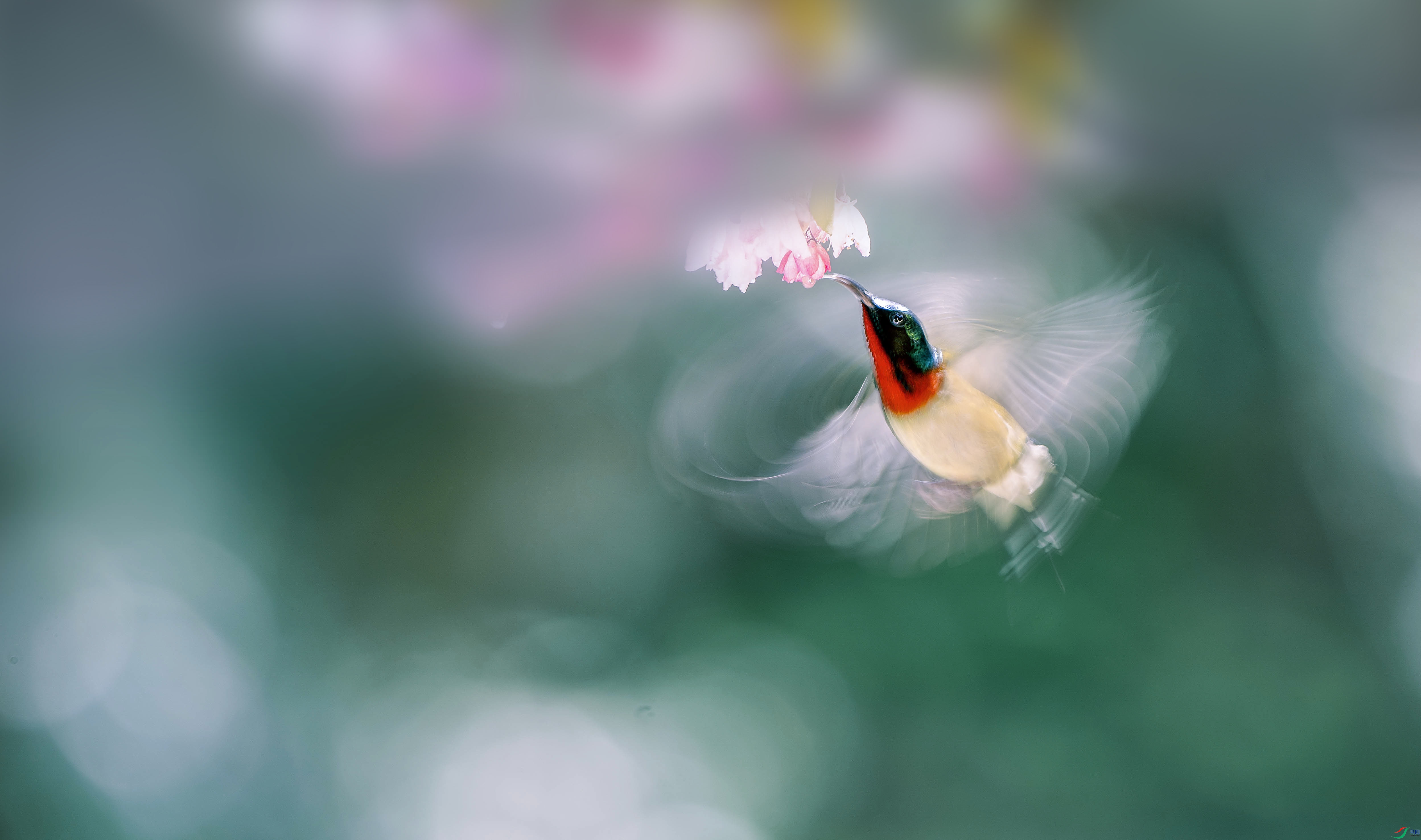 �������к� ����.jpg