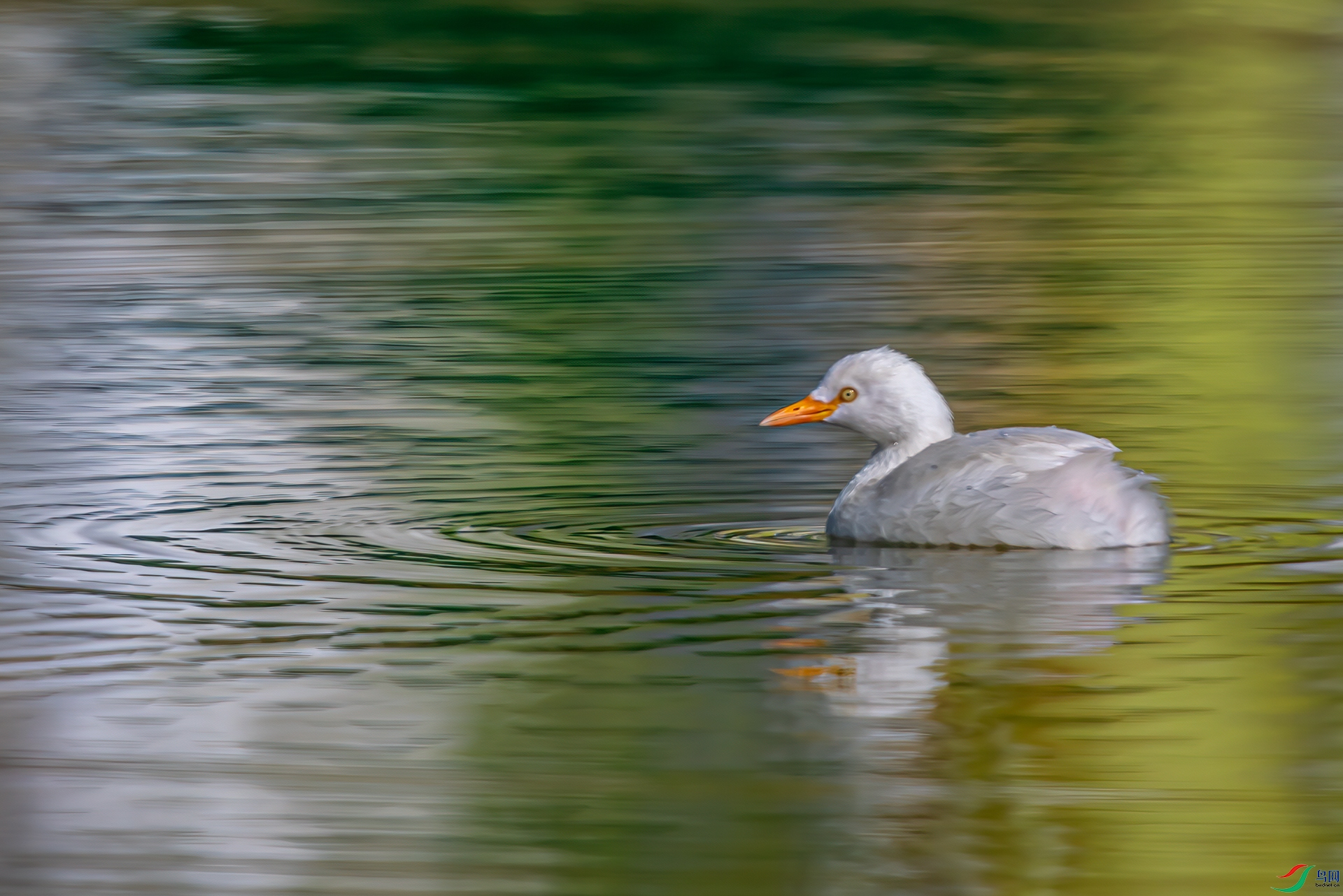 NIKON-CORPORATION__NIKON-D500__2019_11_11__73a9ab28-11.jpg