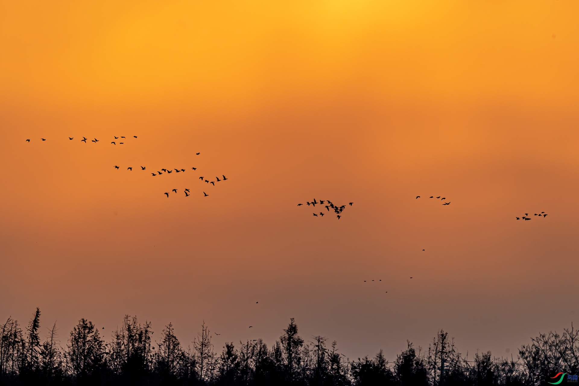 _DSC7083-11.jpg
