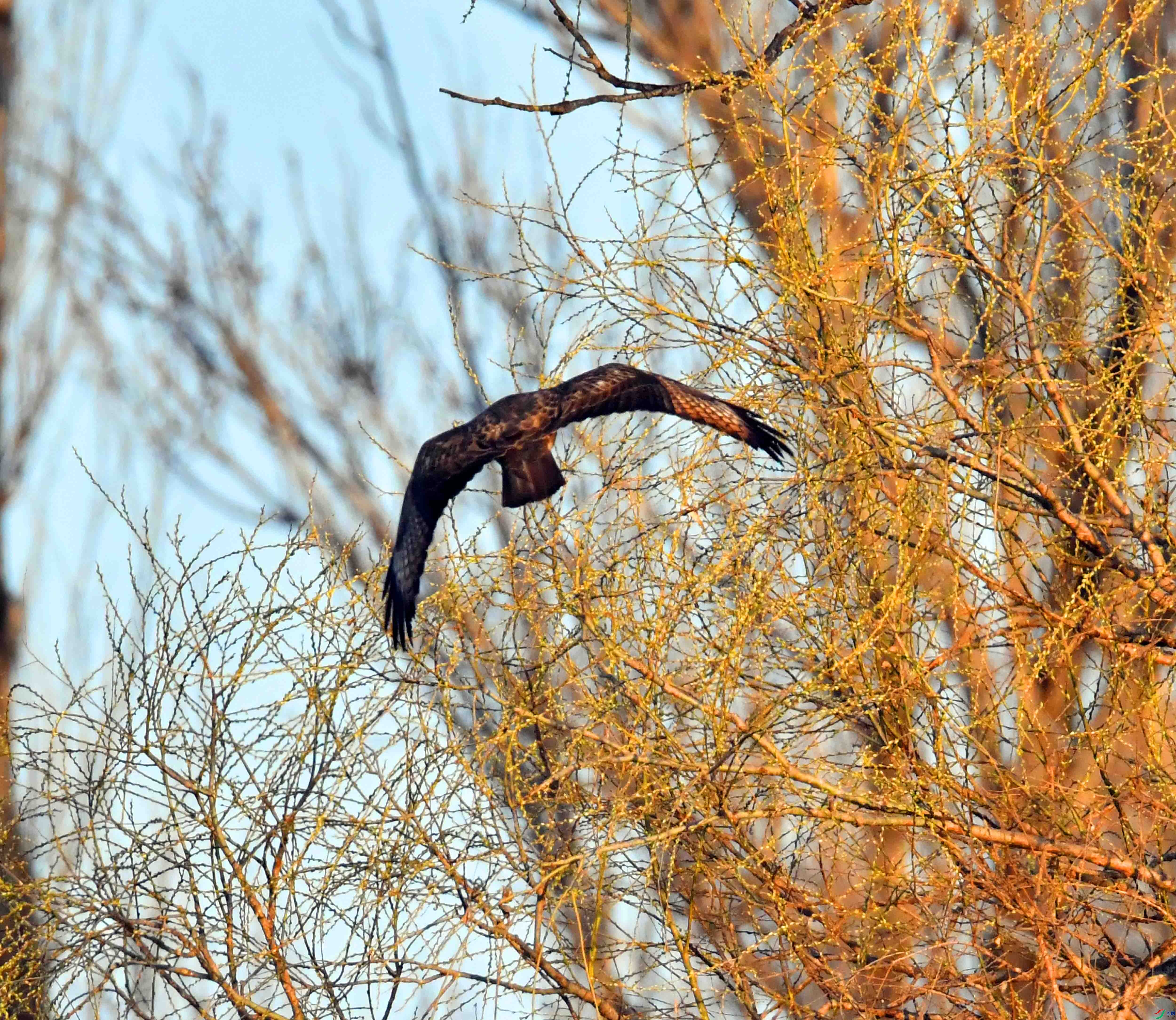 DSC_0547.JPG