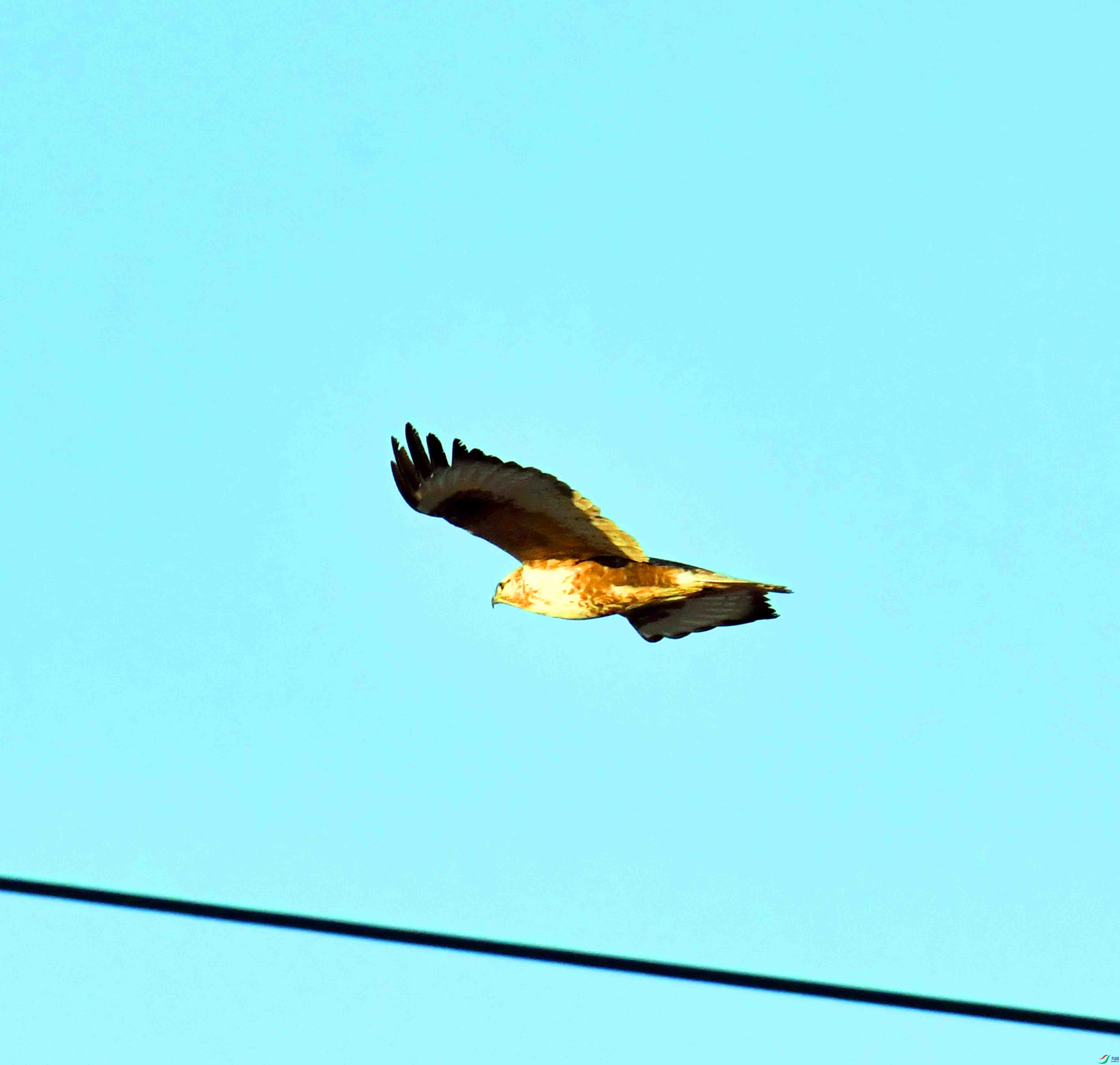DSC_0340.JPG
