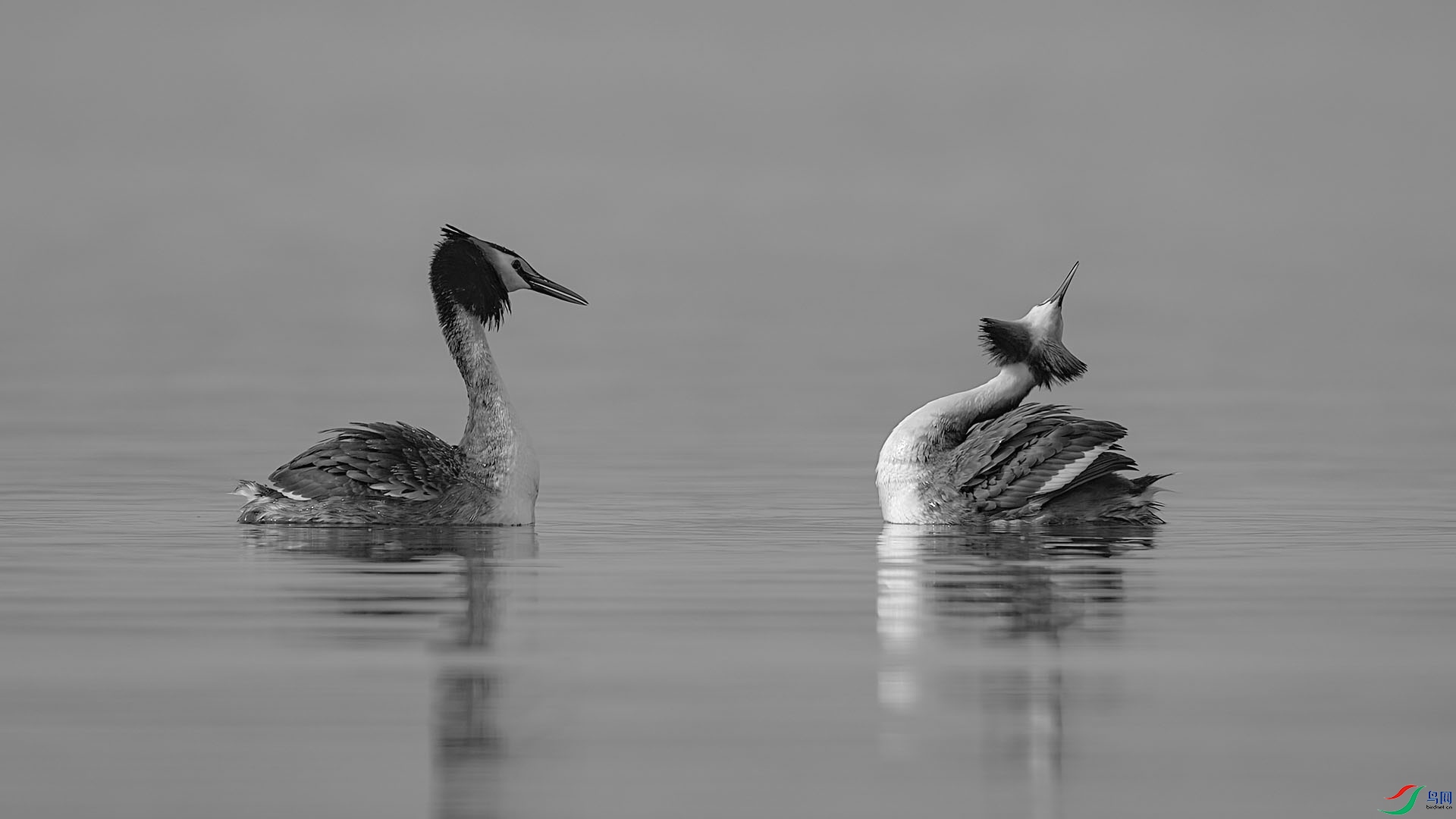 DSC06860 ����XH.jpg