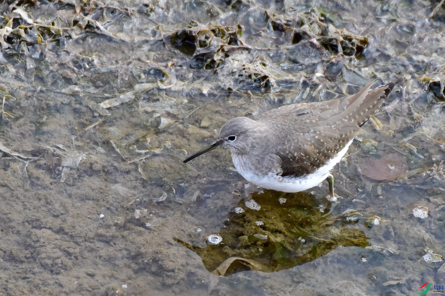 DSC_4404.JPG