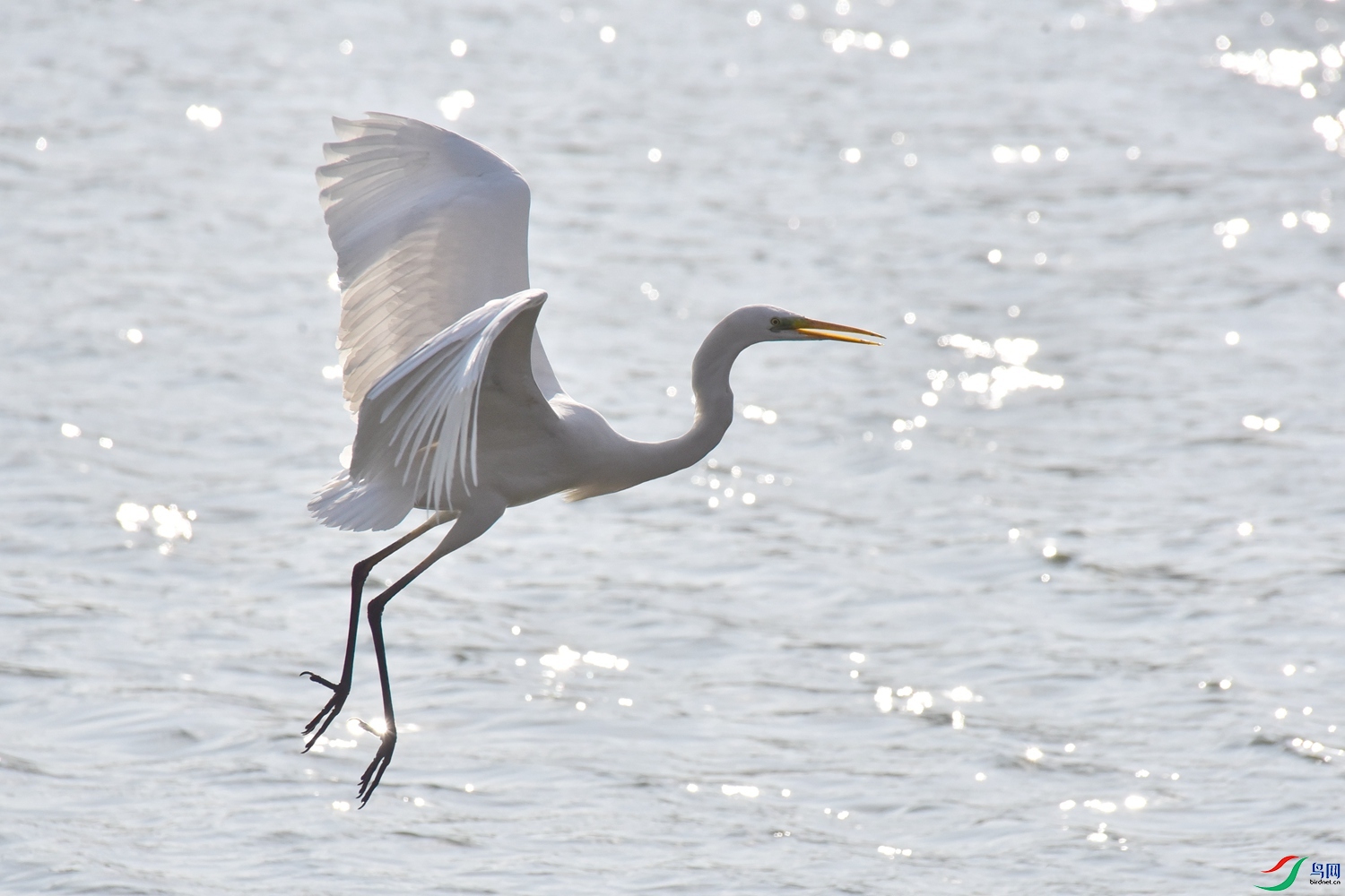 DSC_6085.JPG