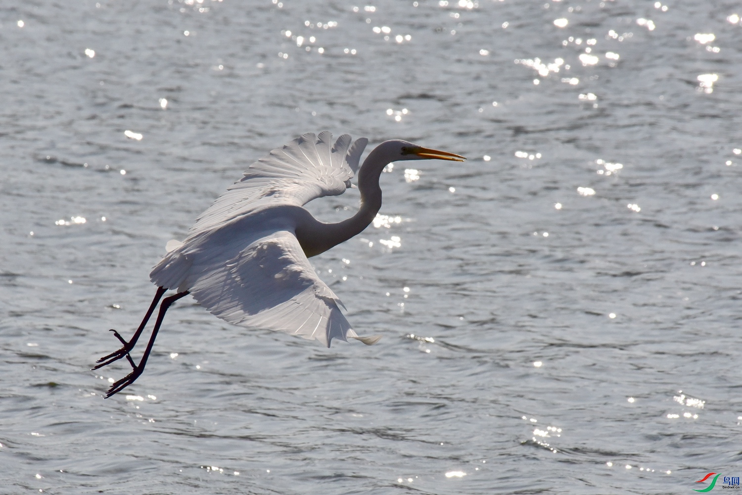 DSC_6086.JPG