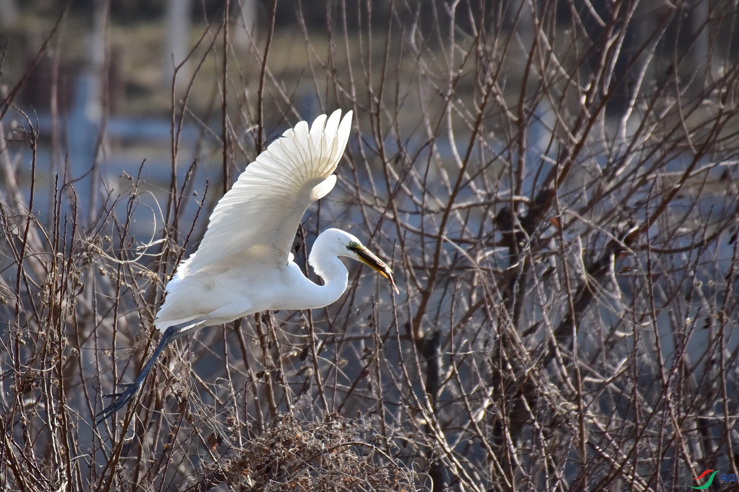 DSC_6193.JPG