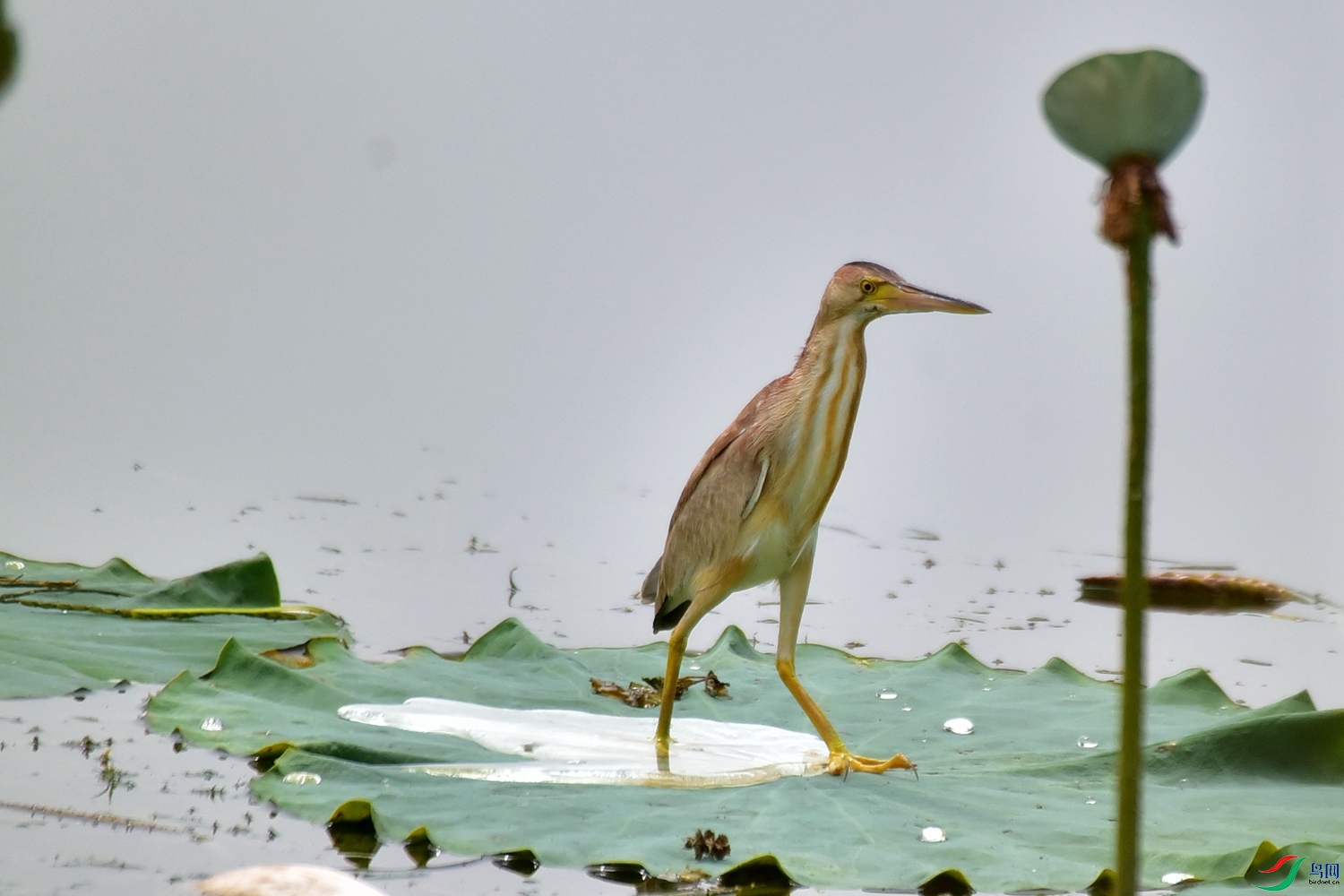 DSC_7892.JPG